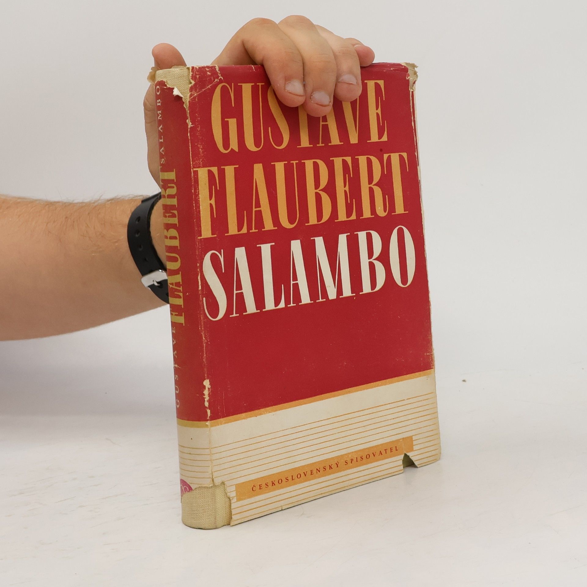Gustave Flaubert Salambo