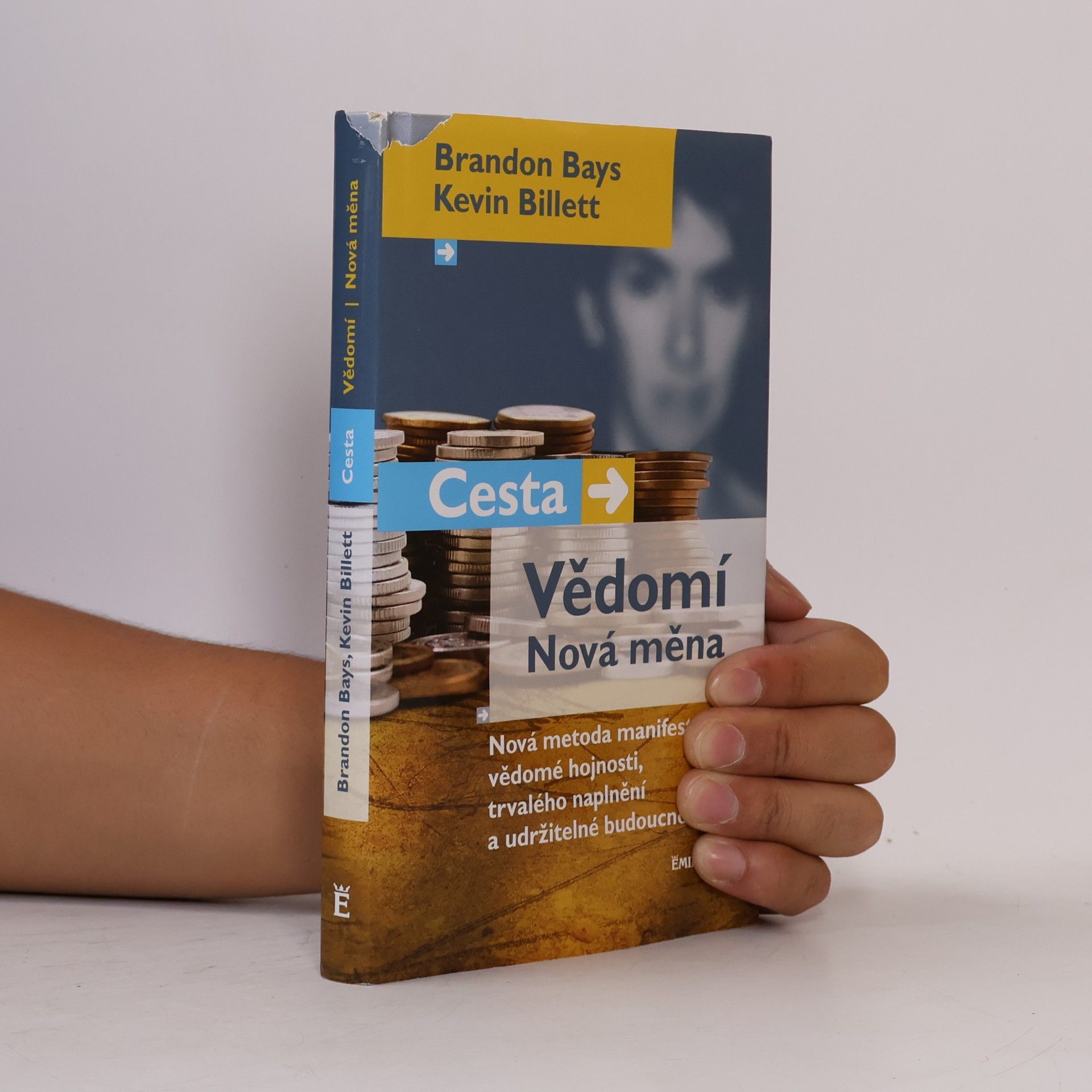 Brandon Bays Cesta, vědomí, nová měna