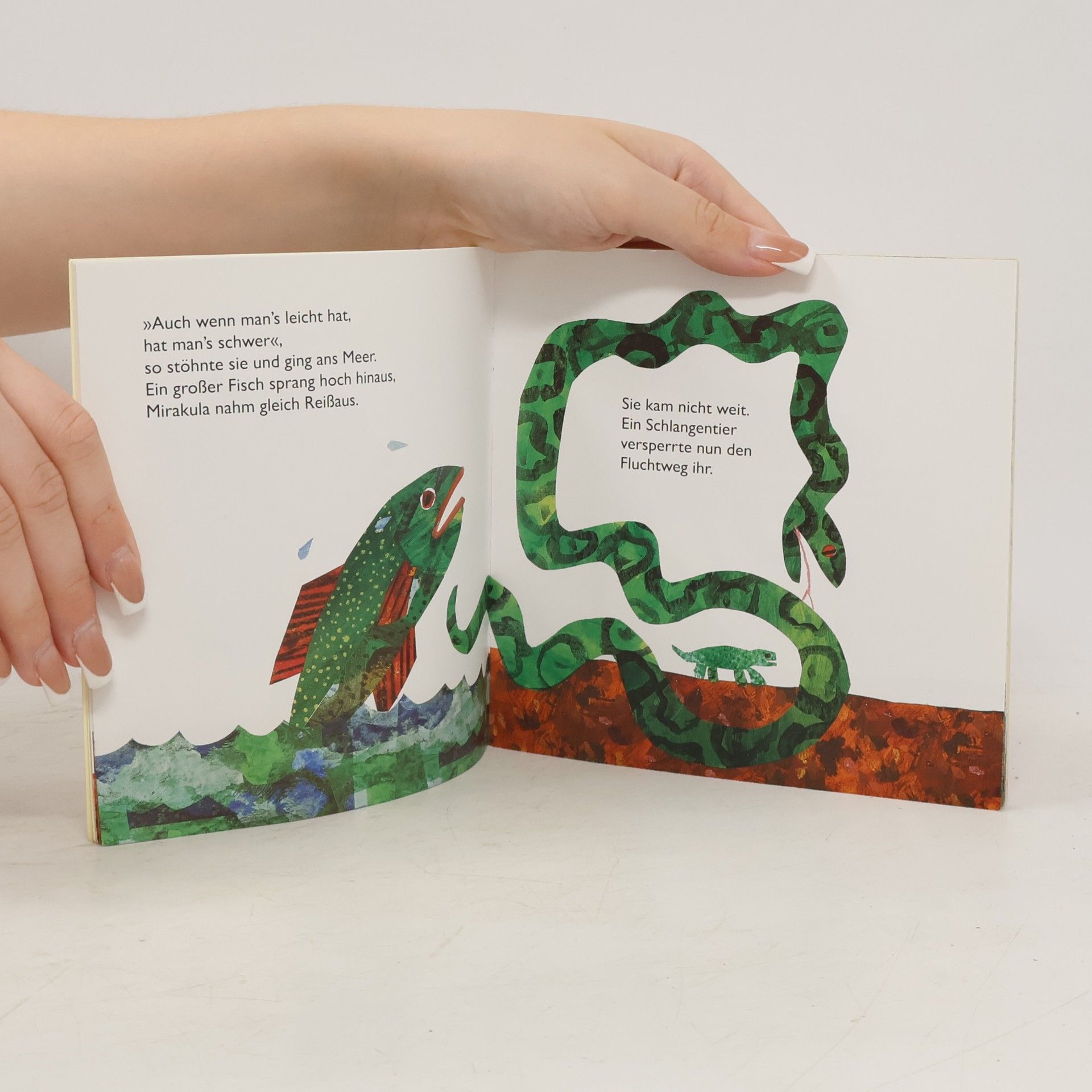 Eric Carle Die Schildkröte Mirakula