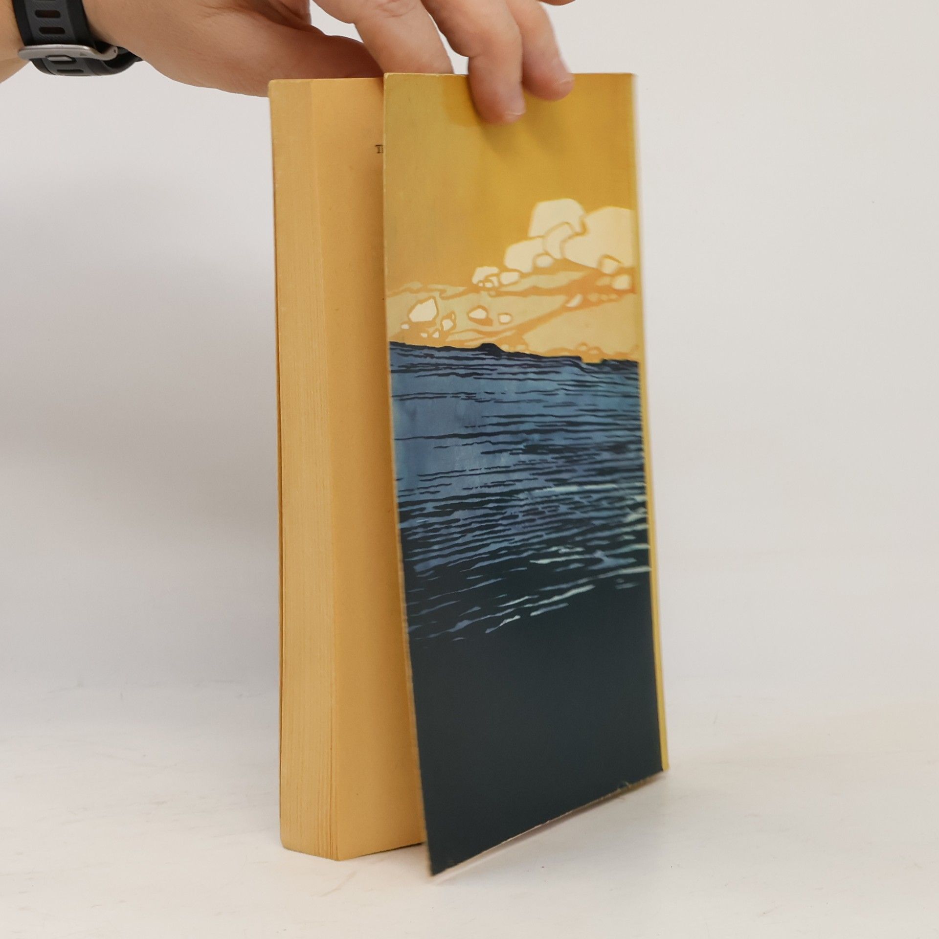 Jack London Lockruf des Goldes