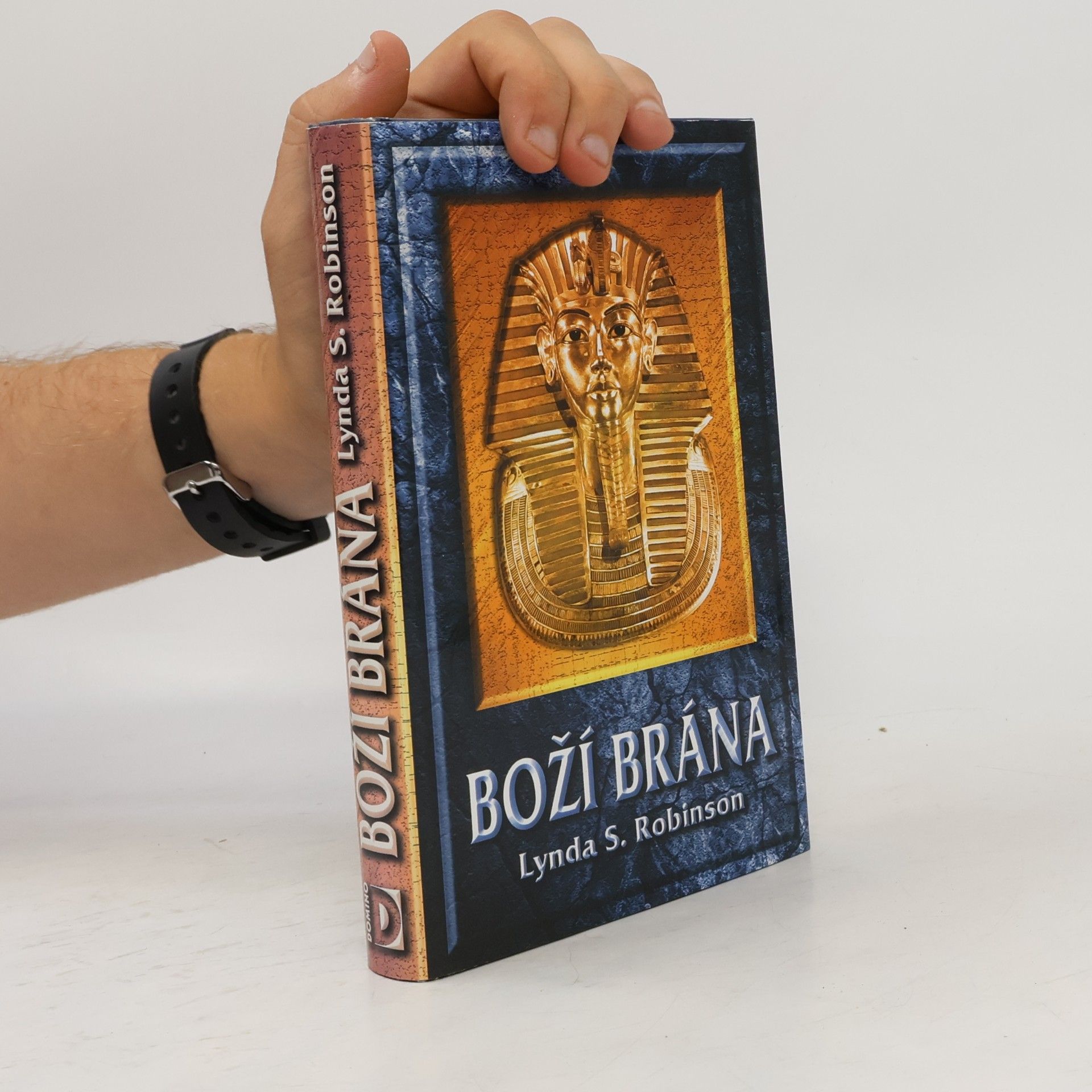 Lynda Suzanne Robinson Boží brána
