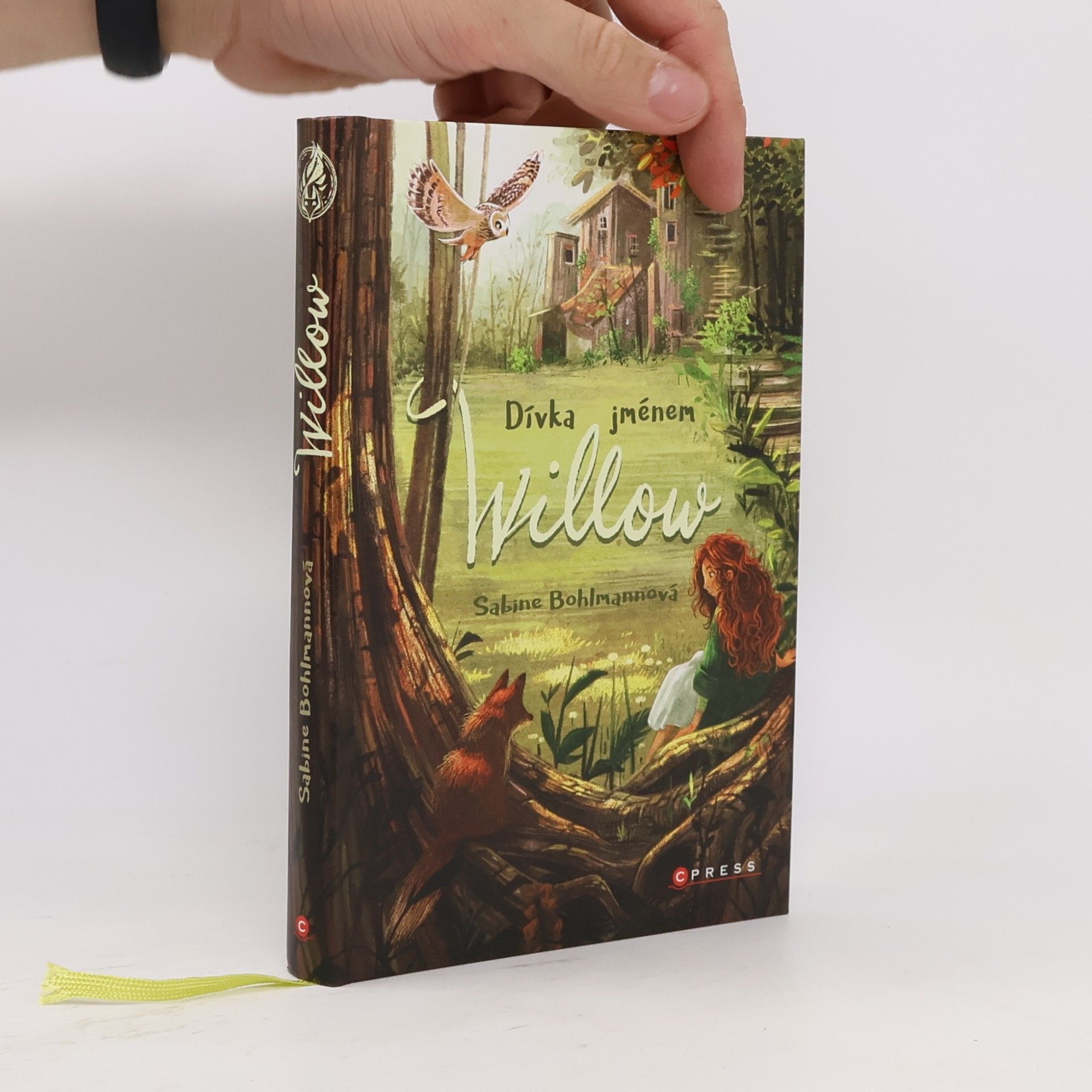 Sabine Bohlmann Dívka jménem Willow
