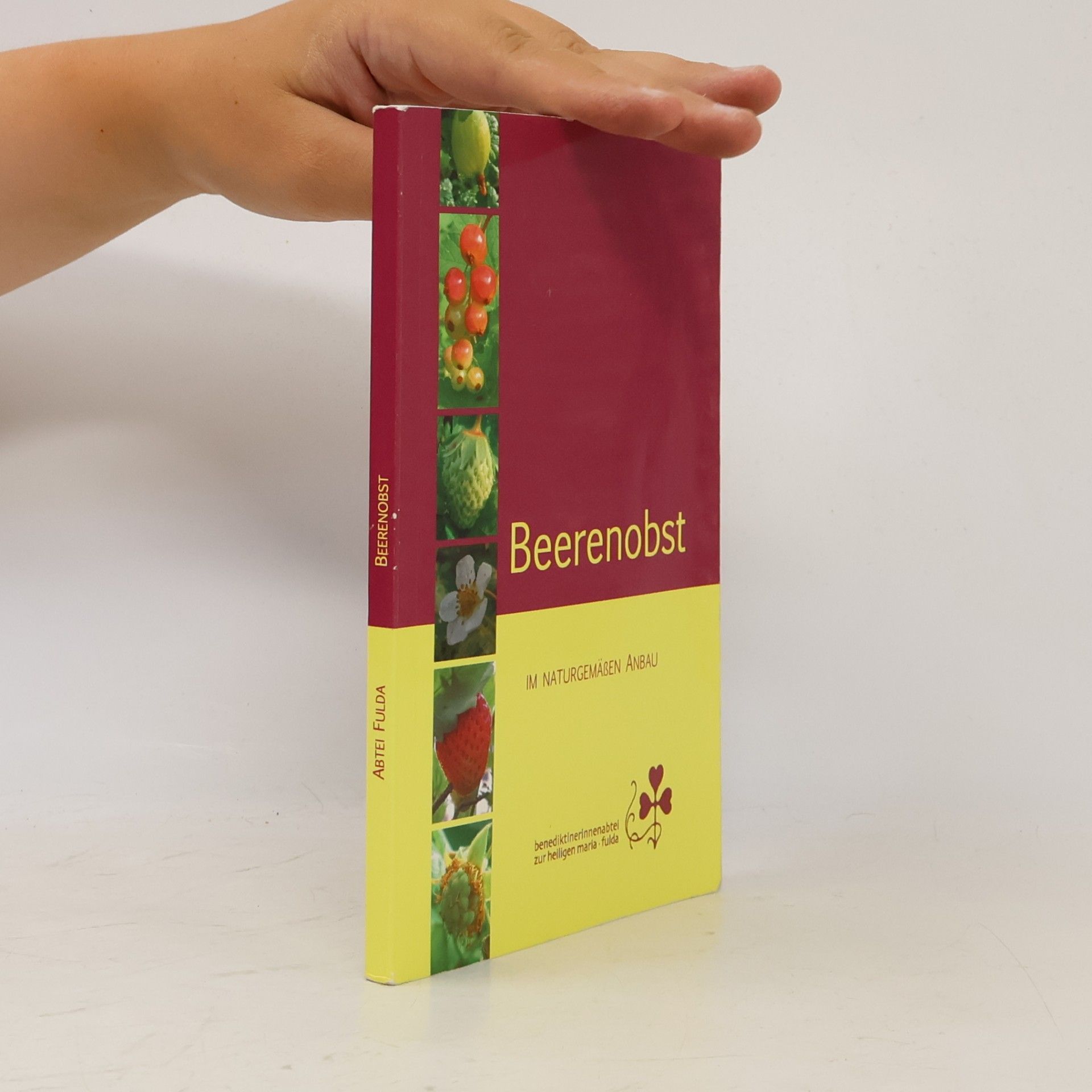 Autores varios Beerenobst im naturgemäßen Anbau