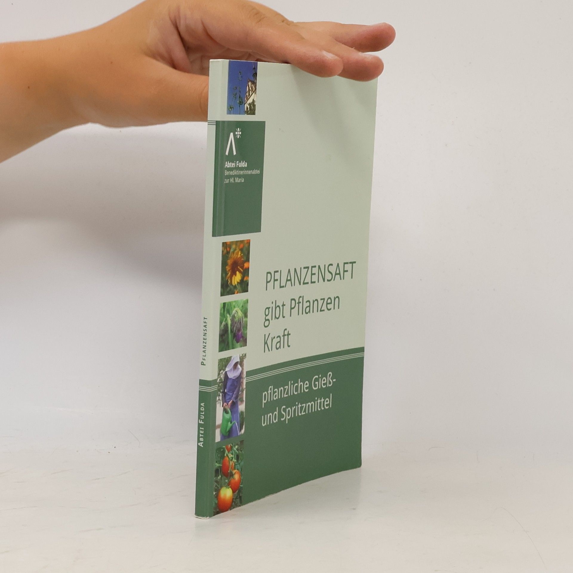 Collectif d'auteurs Pflanzensaft gibt Pflanzen Kraft