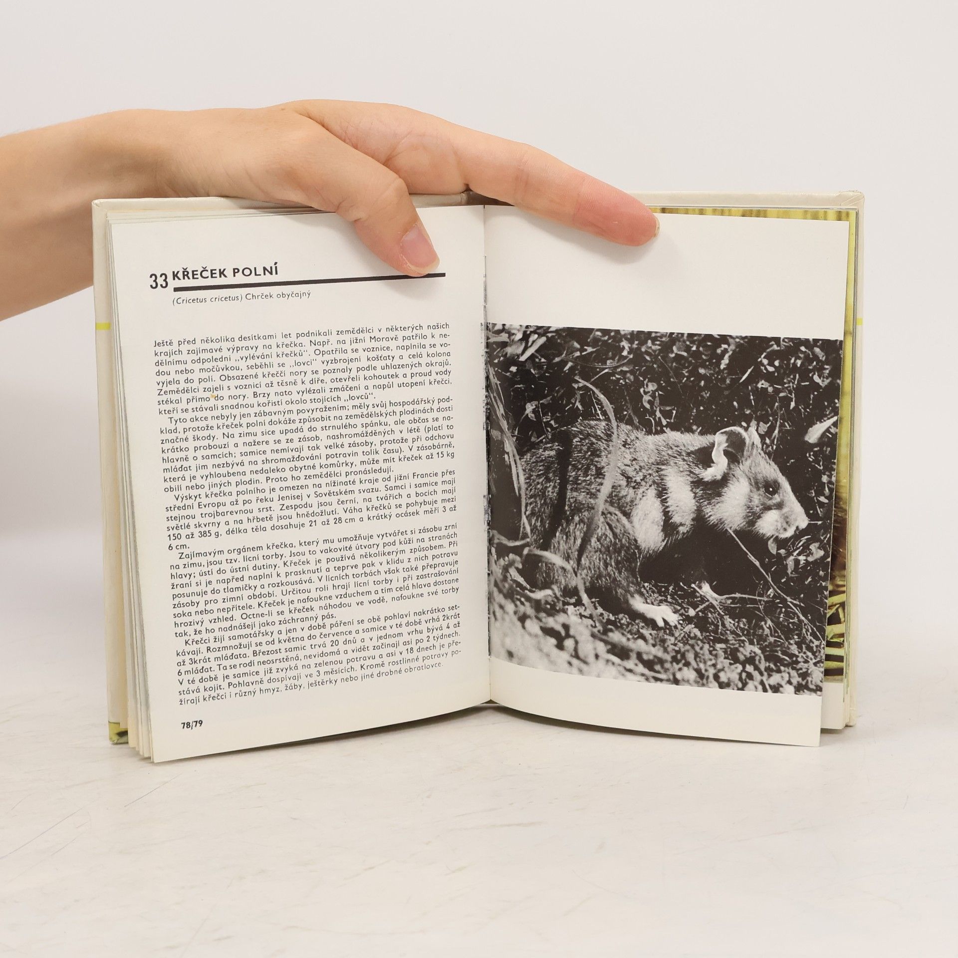 Miroslav Bouchner Kapesní atlas savců