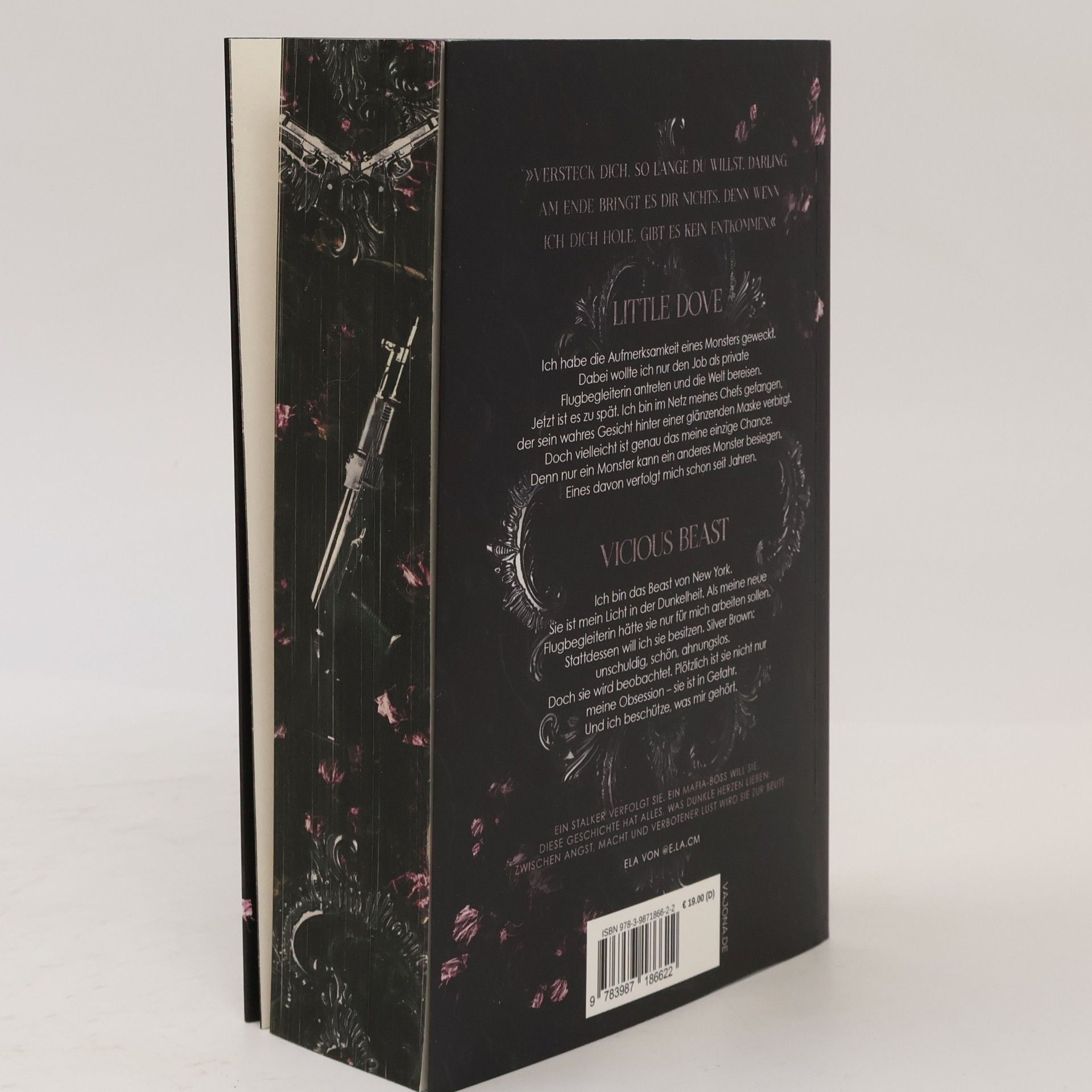 Angelina Blosfeld The Sin Eaters - 1: Flight of a Beast
