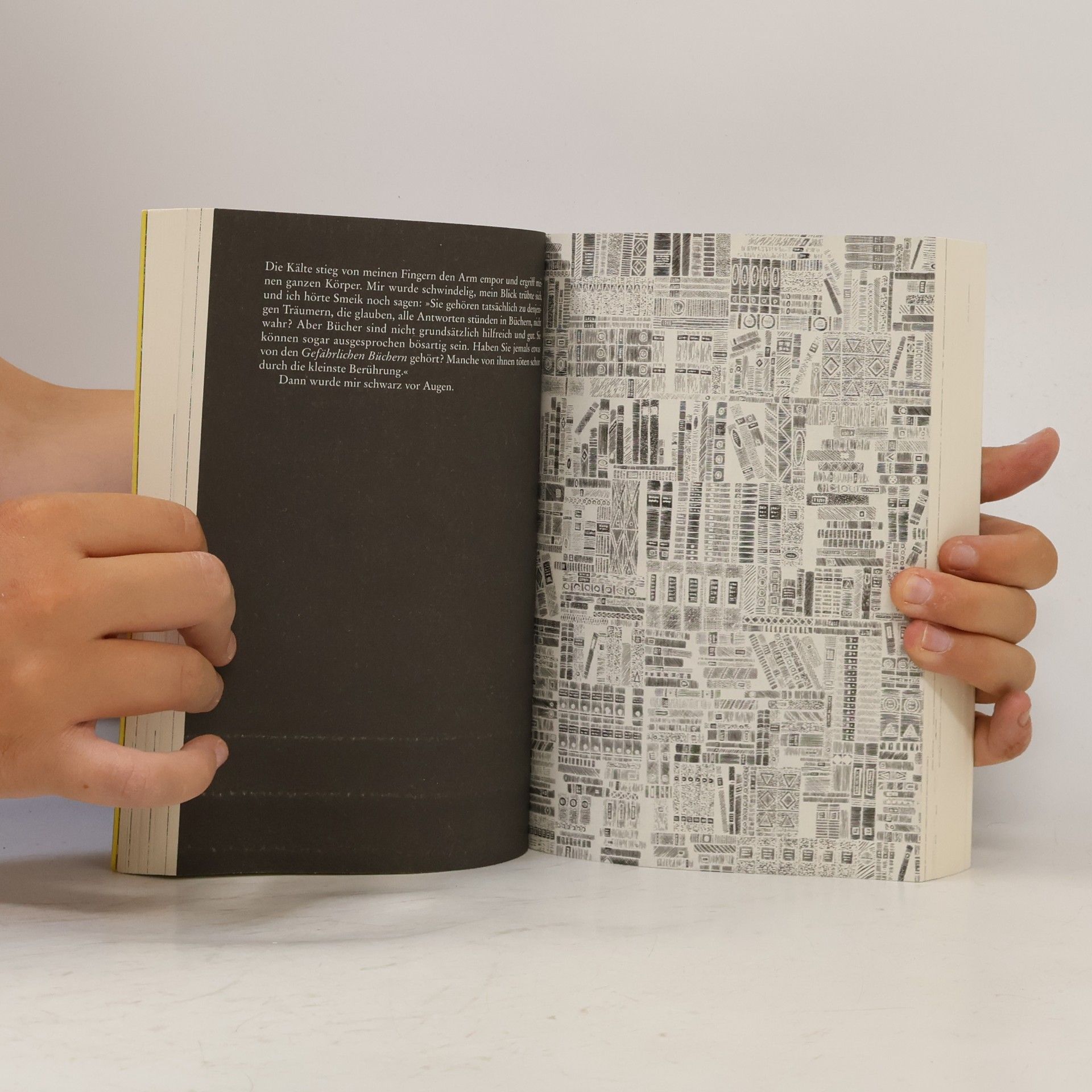 Walter Moers Die Stadt der träumenden Bücher