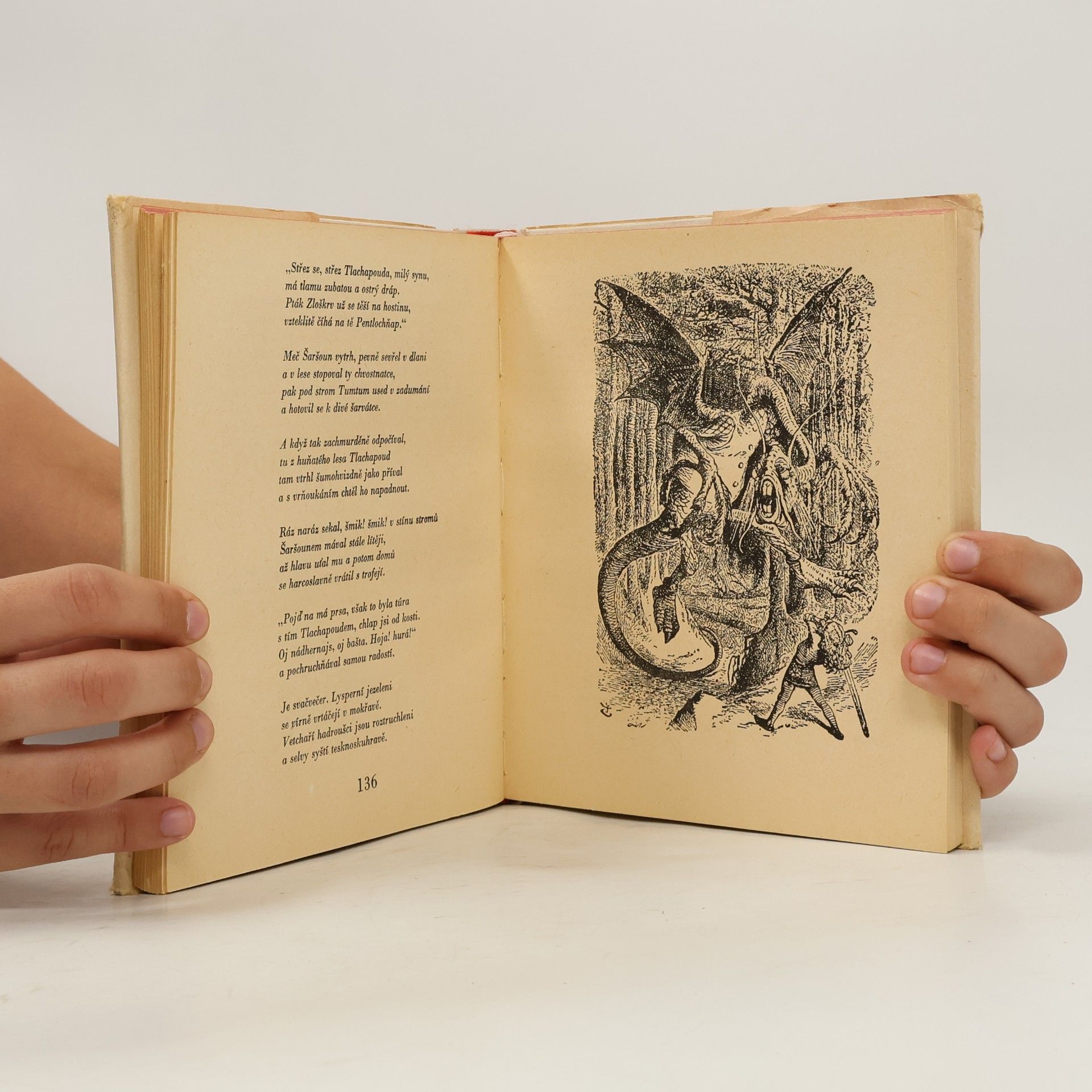 Lewis Carroll Alenka v kraji divů a za zrcadlem
