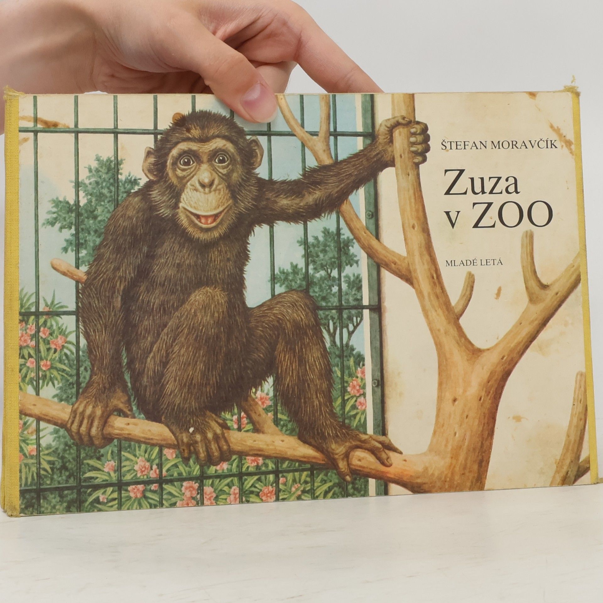 Štefan Moravčík Zuzka v ZOO
