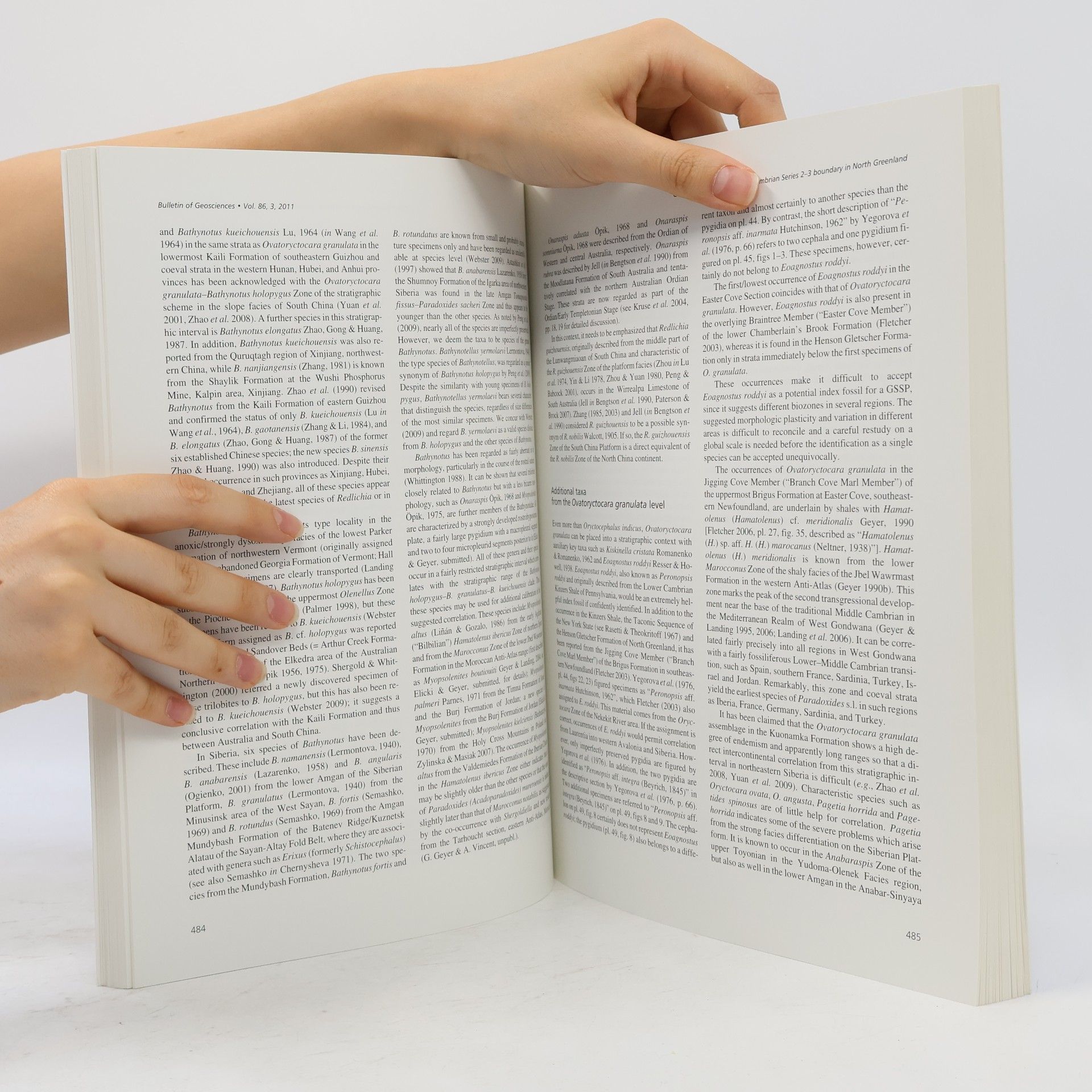 Autorenkollektiv Bulletin of Geosciences 3