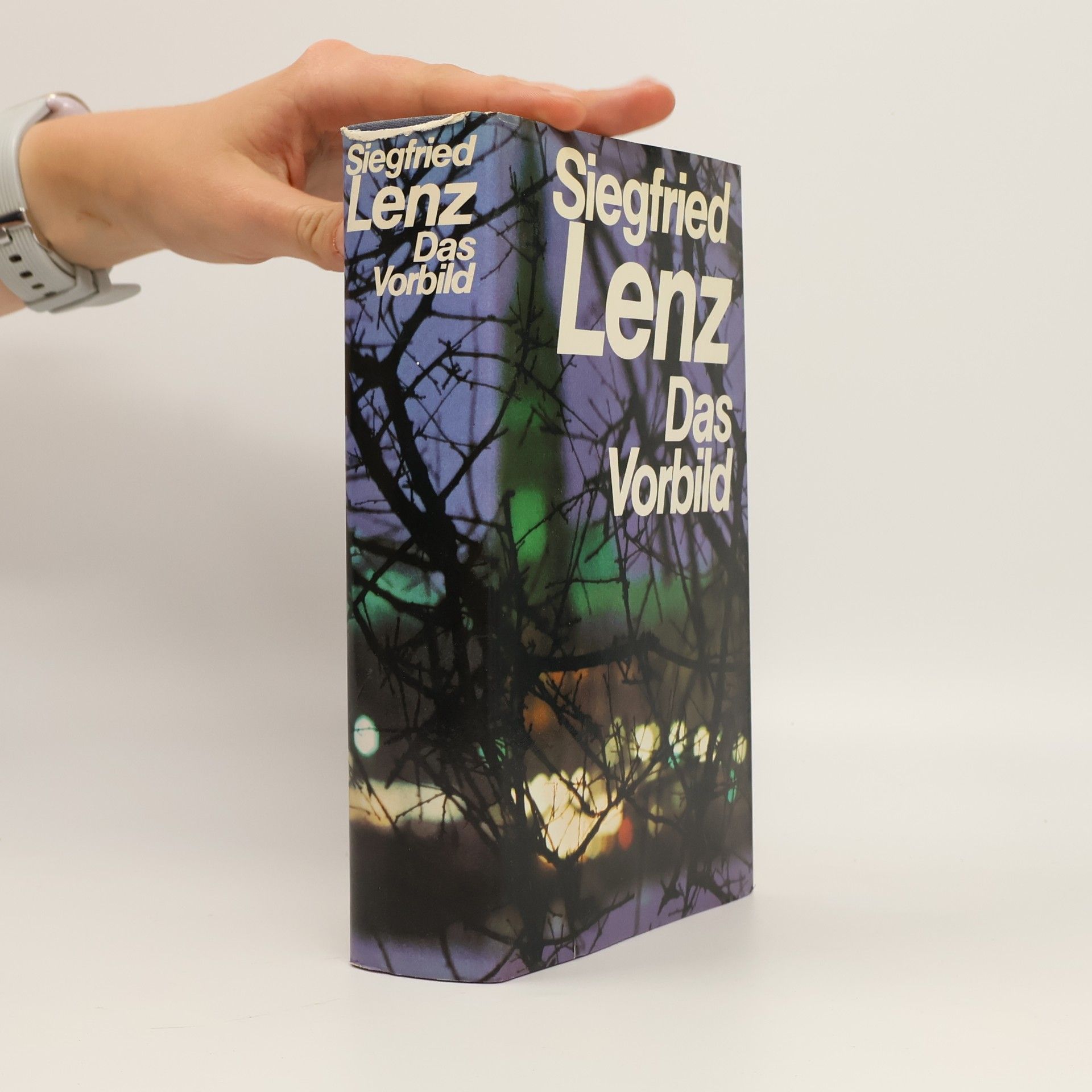 Siegfried Lenz Das Vorbild