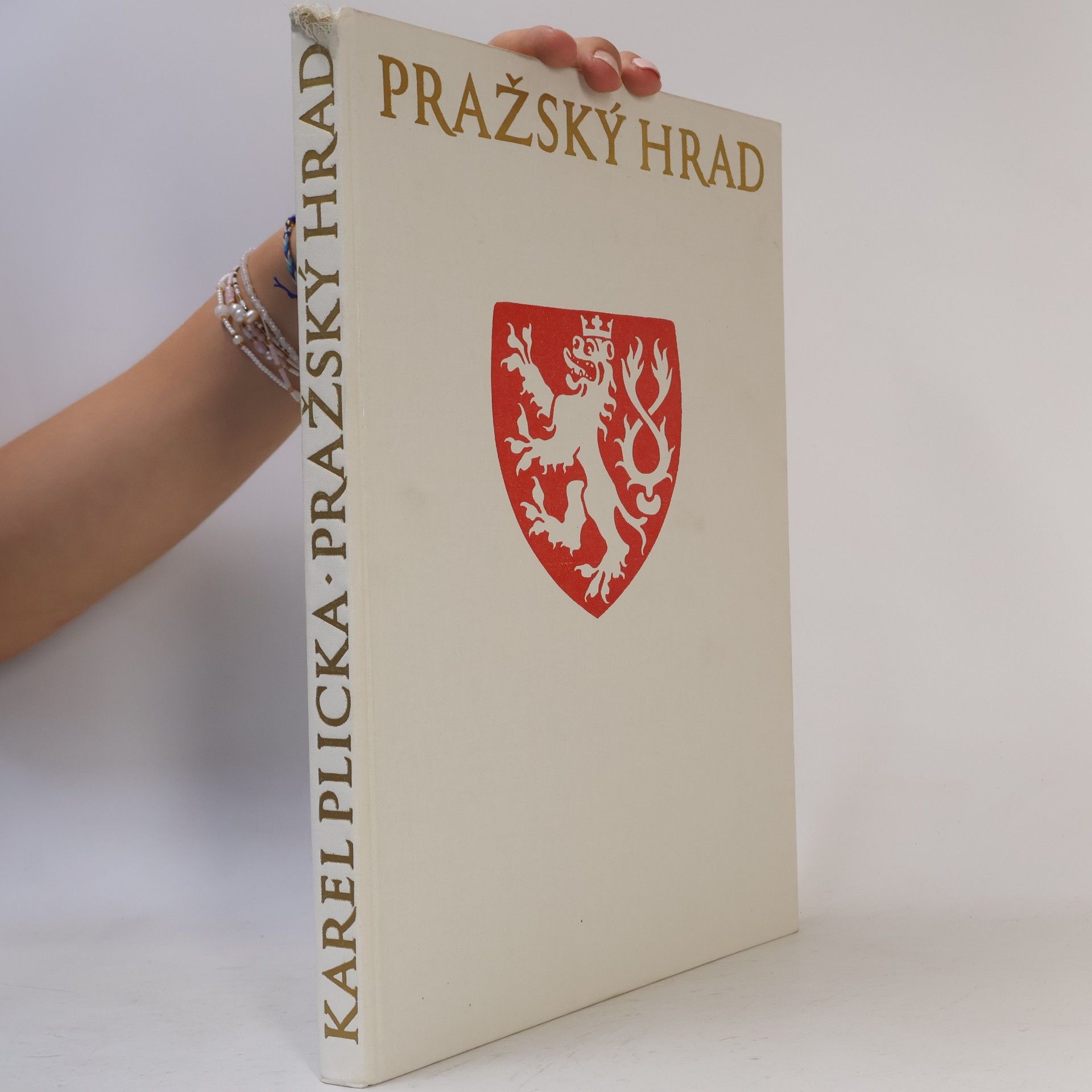 Karel Plicka Pražský hrad