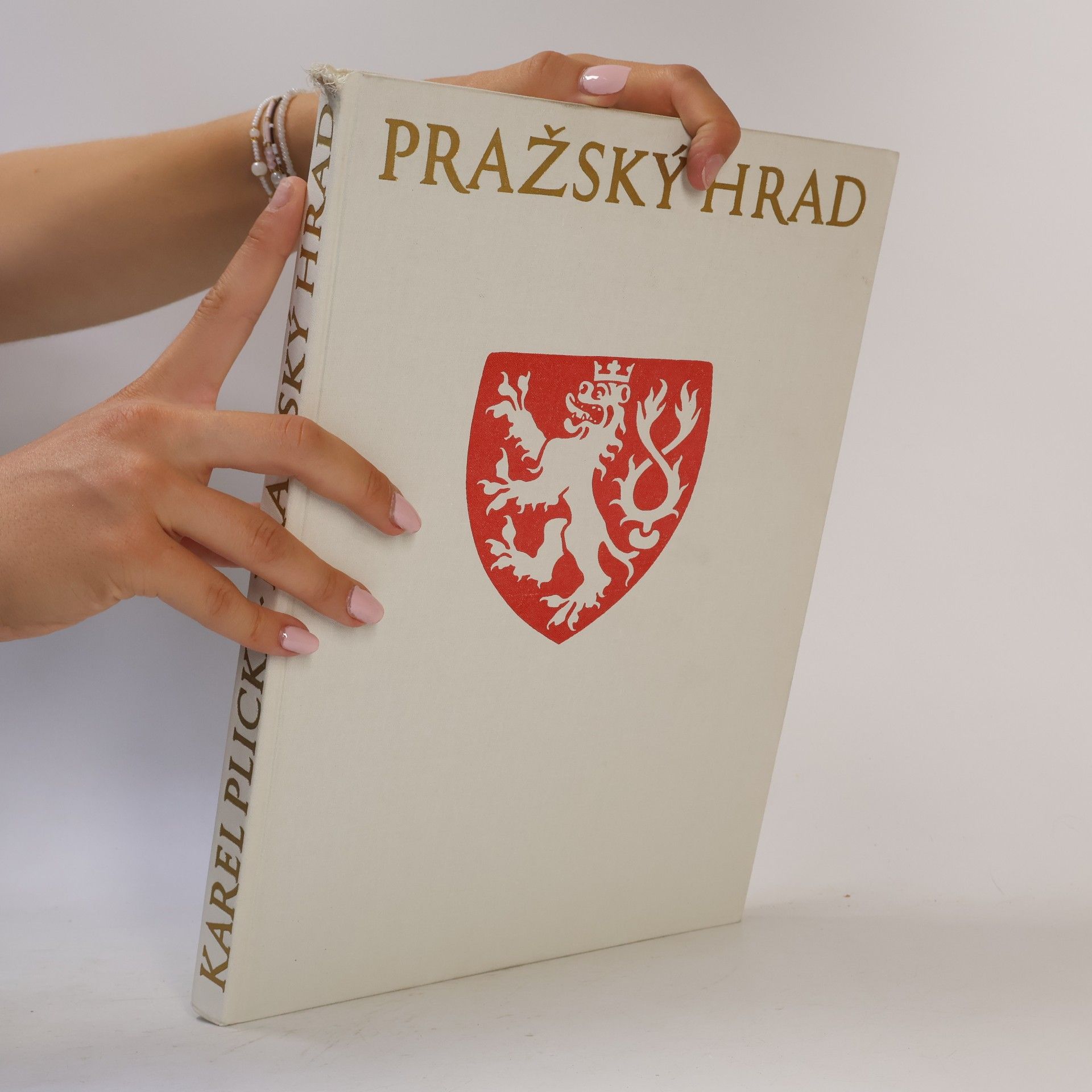 Karel Plicka Pražský hrad