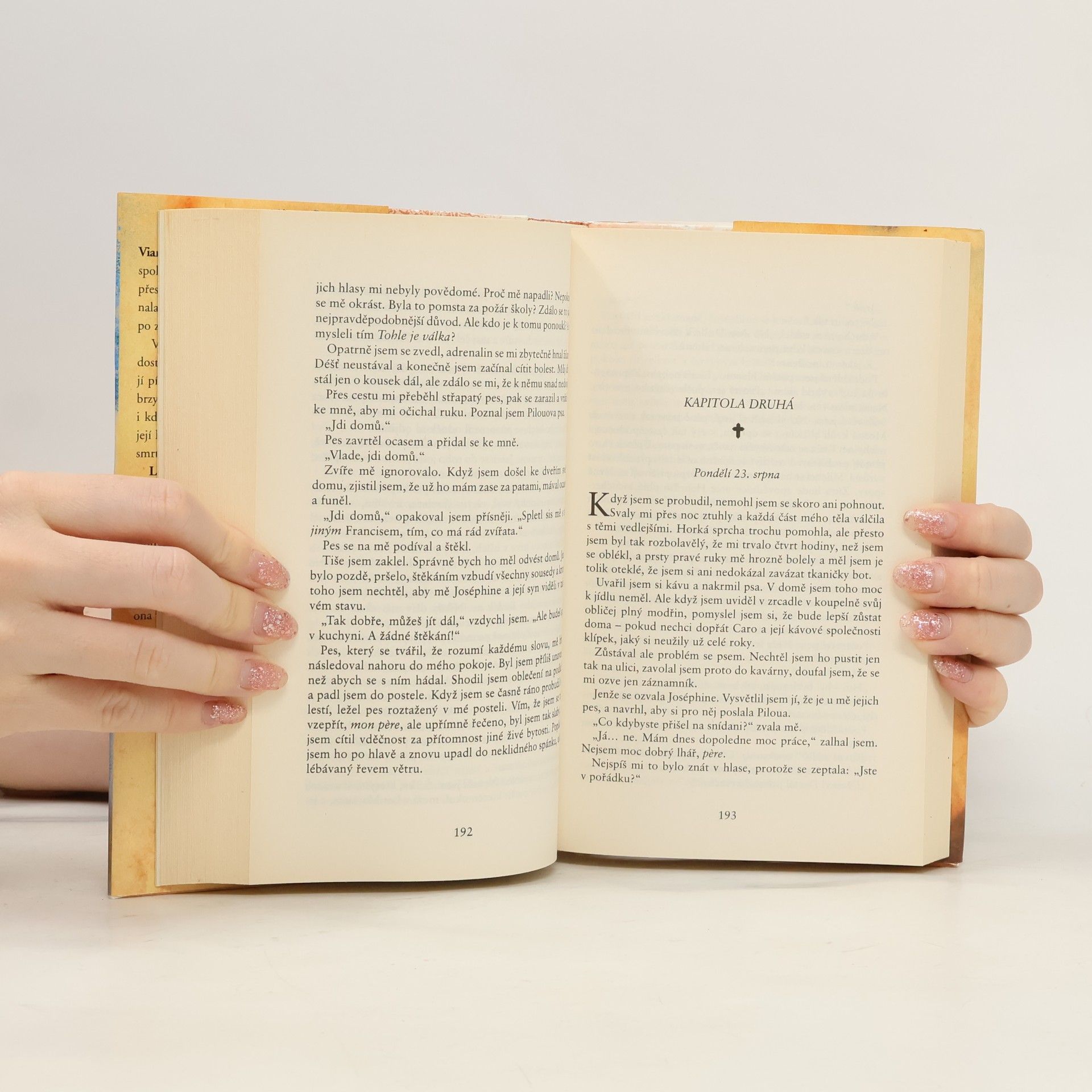 Joanne Harris Broskve pro otce Francise