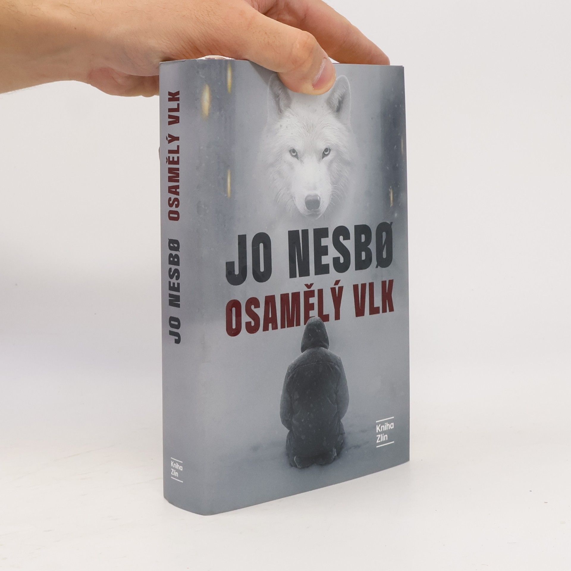 Osamělý vlk