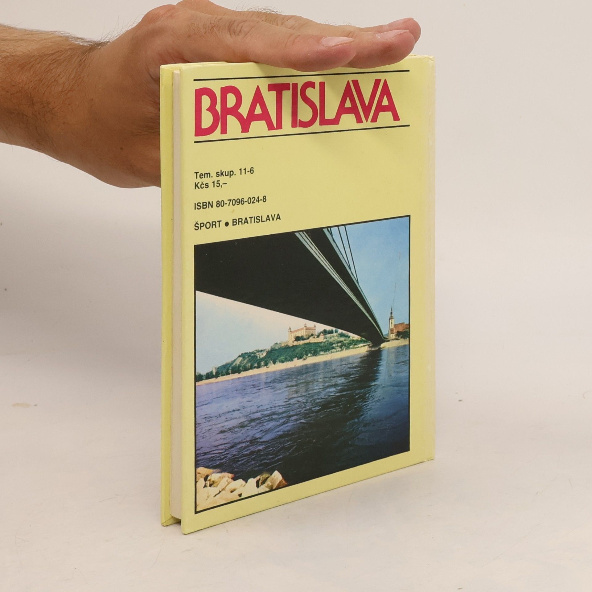Vladimír Hančin Bratislava sprievodca