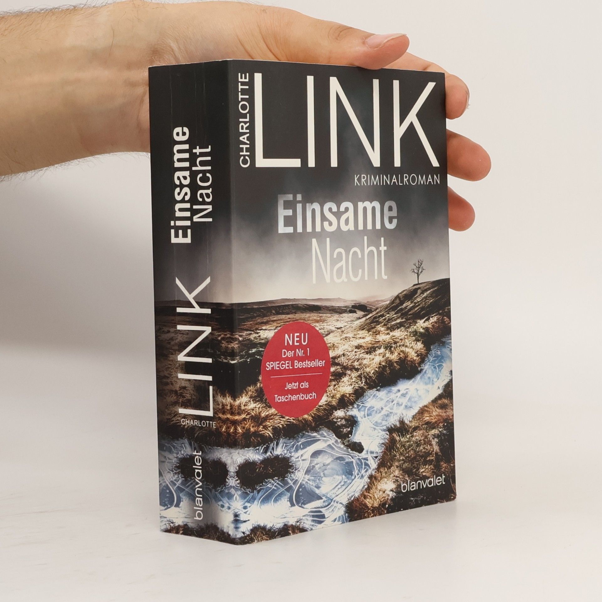 Charlotte Link Einsame Nacht