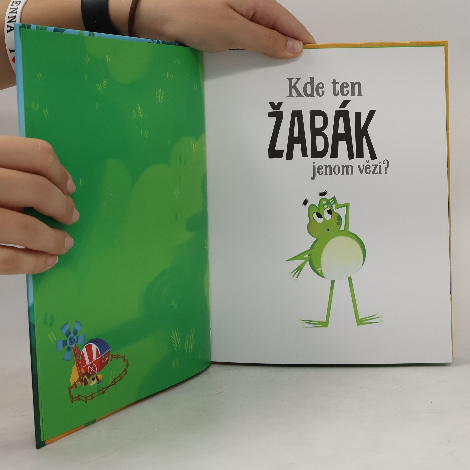Valentina Schöttes Kde ten žabák jenom vězí?