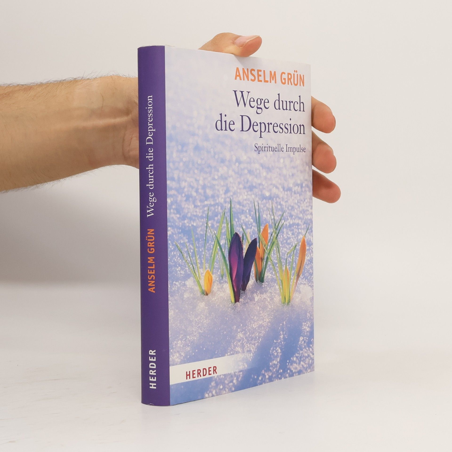 Anselm Grün Wege durch die Depression