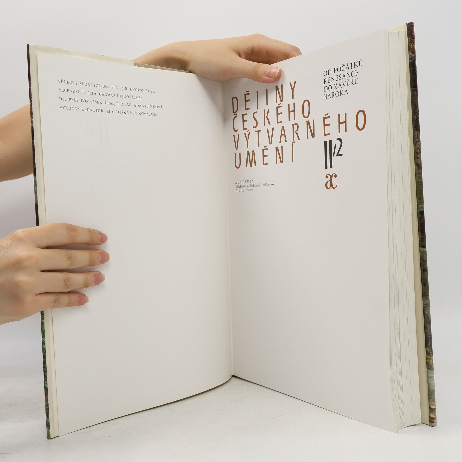 Autorenkollektiv Dějiny českého výtvarného umění II/2