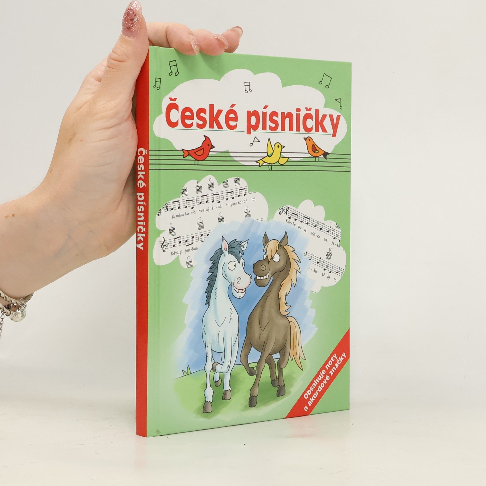 Dita Křišťanová České písničky