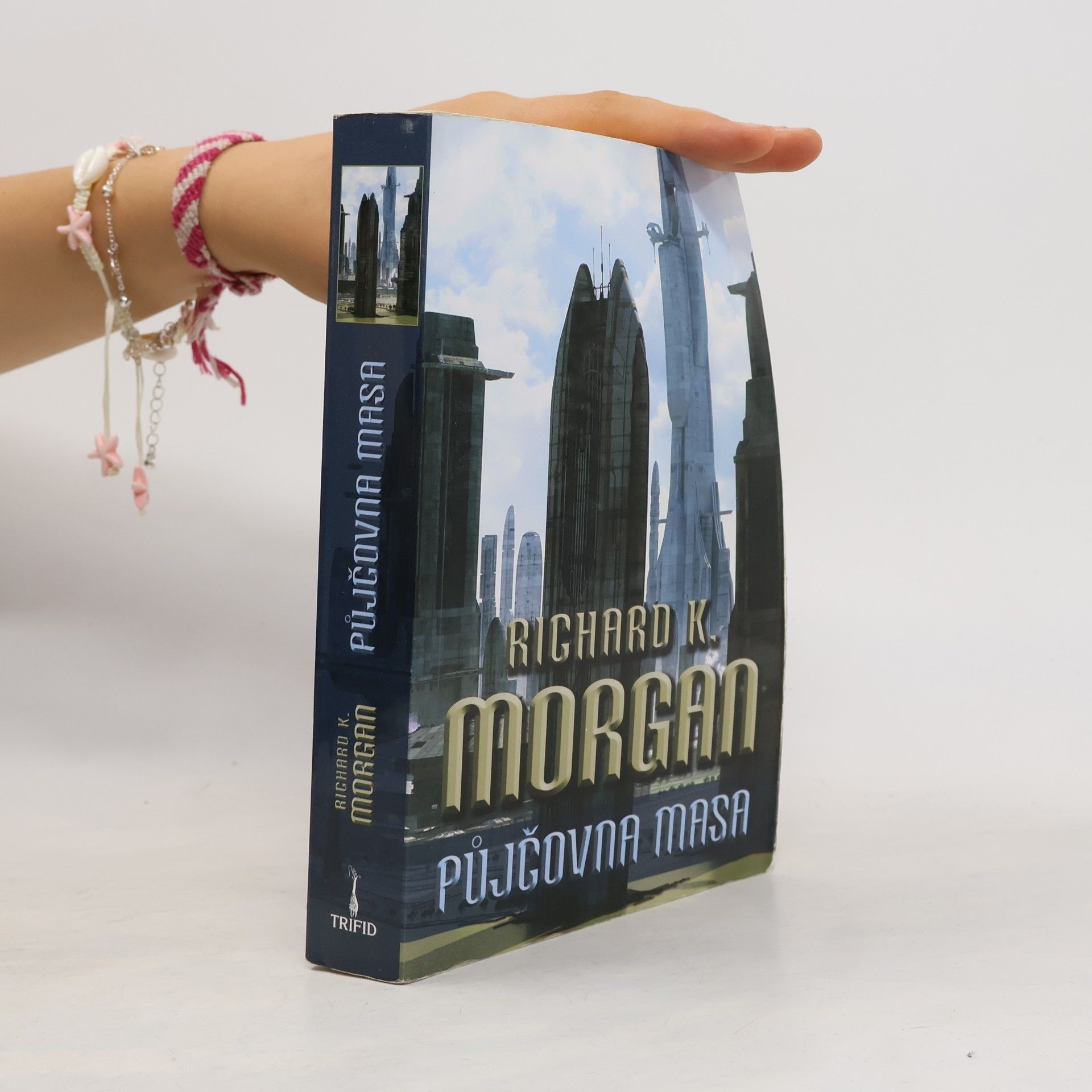 Richard Morgan Půjčovna masa