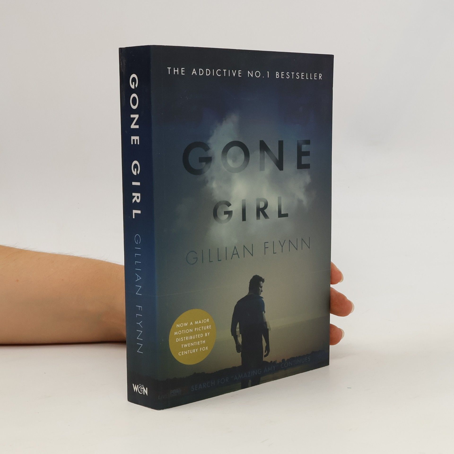 Gillian Flynn Gone Girl