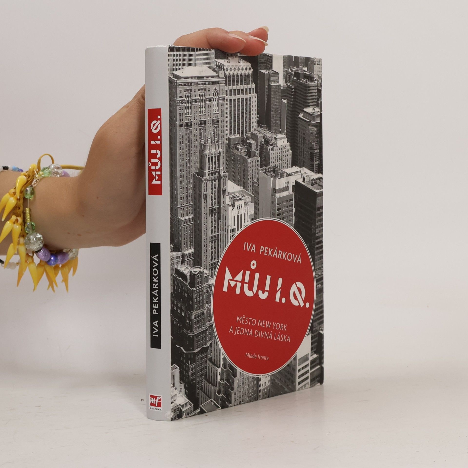 Můj I.Q. : město New York a jedna divná láska
