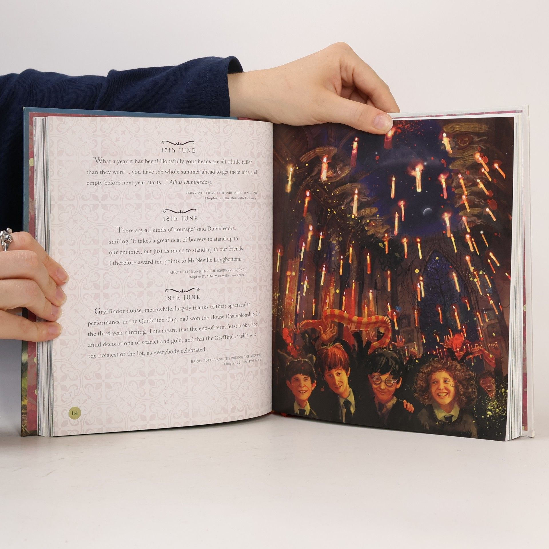 J. K. Rowling Harry Potter. A Magical Year