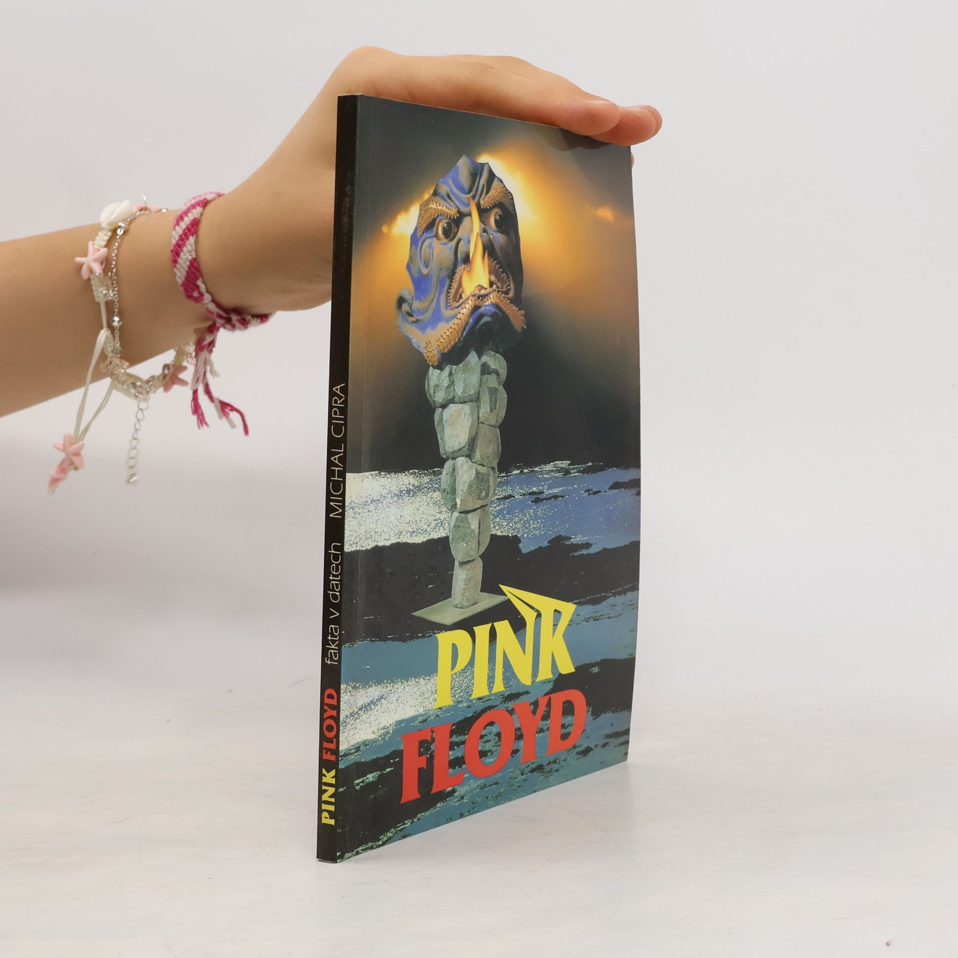 Michal Cipra Pink Floyd - fakta v datech