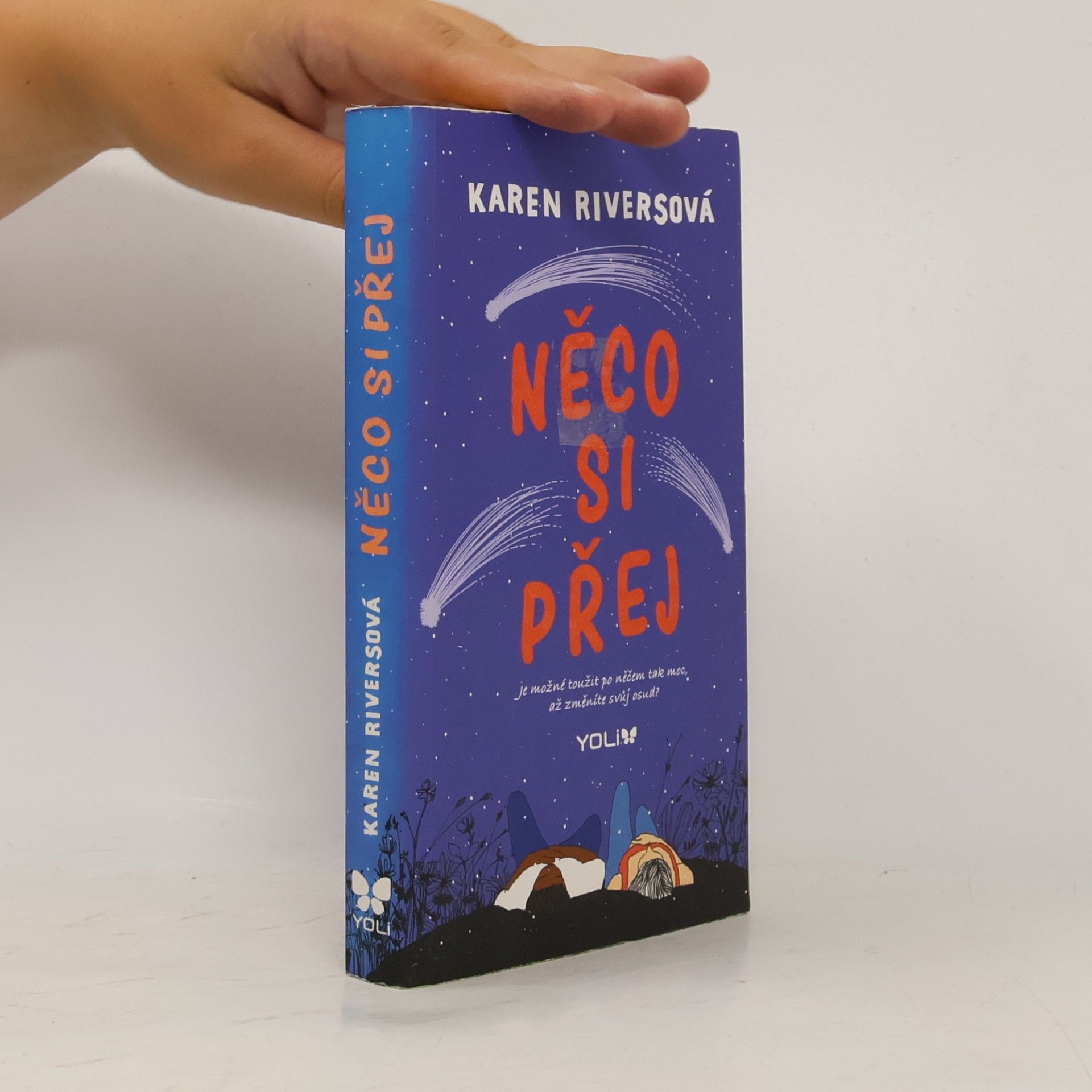 Karen Rivers Něco si přej