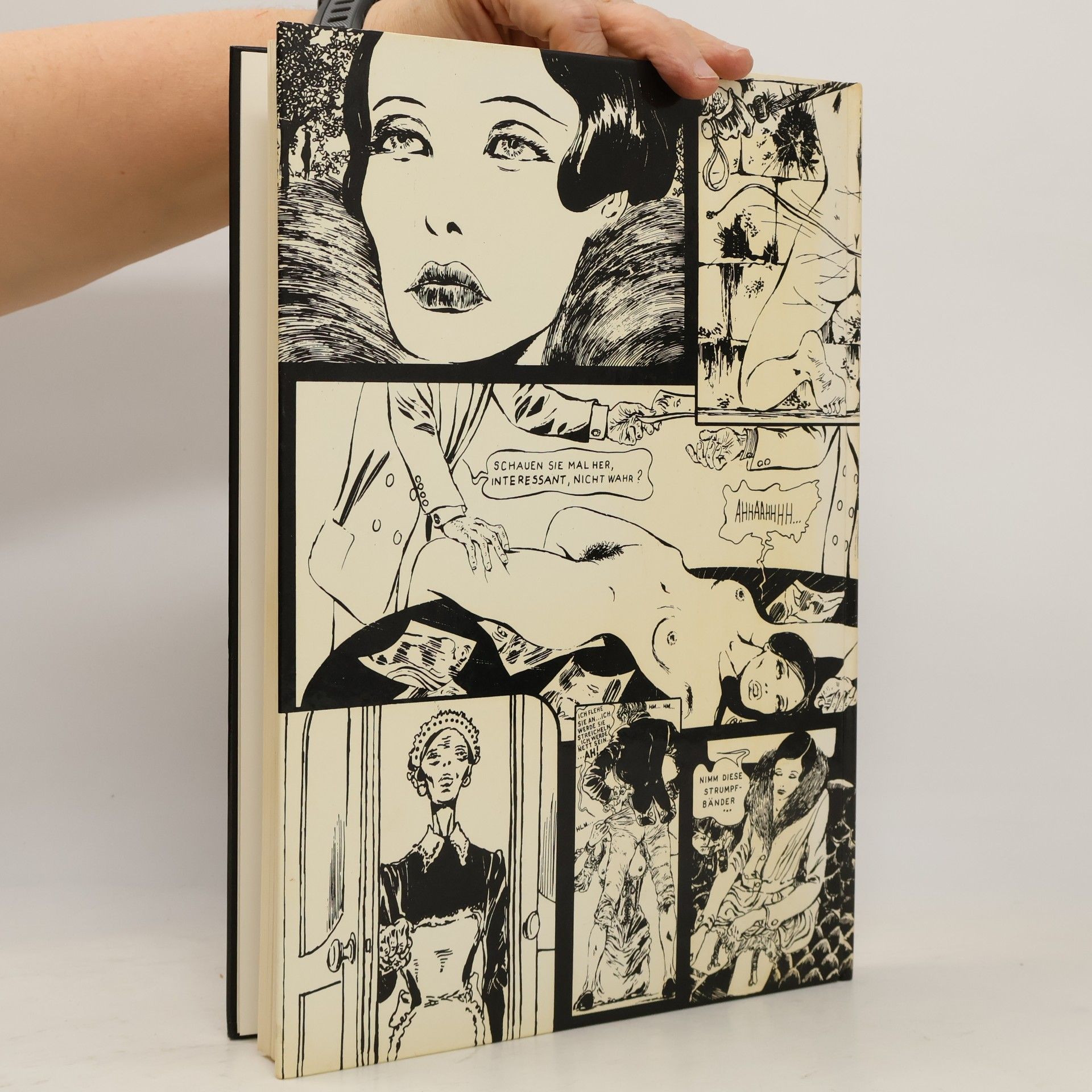 Giudo Crepax Die Geschichte der O