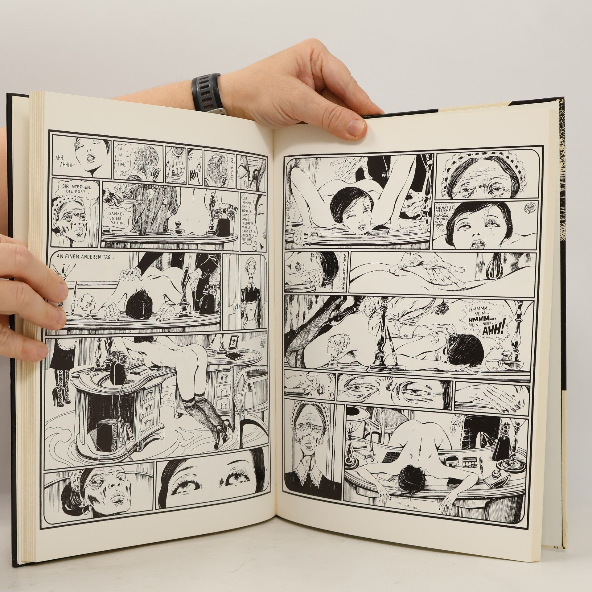 Giudo Crepax Die Geschichte der O