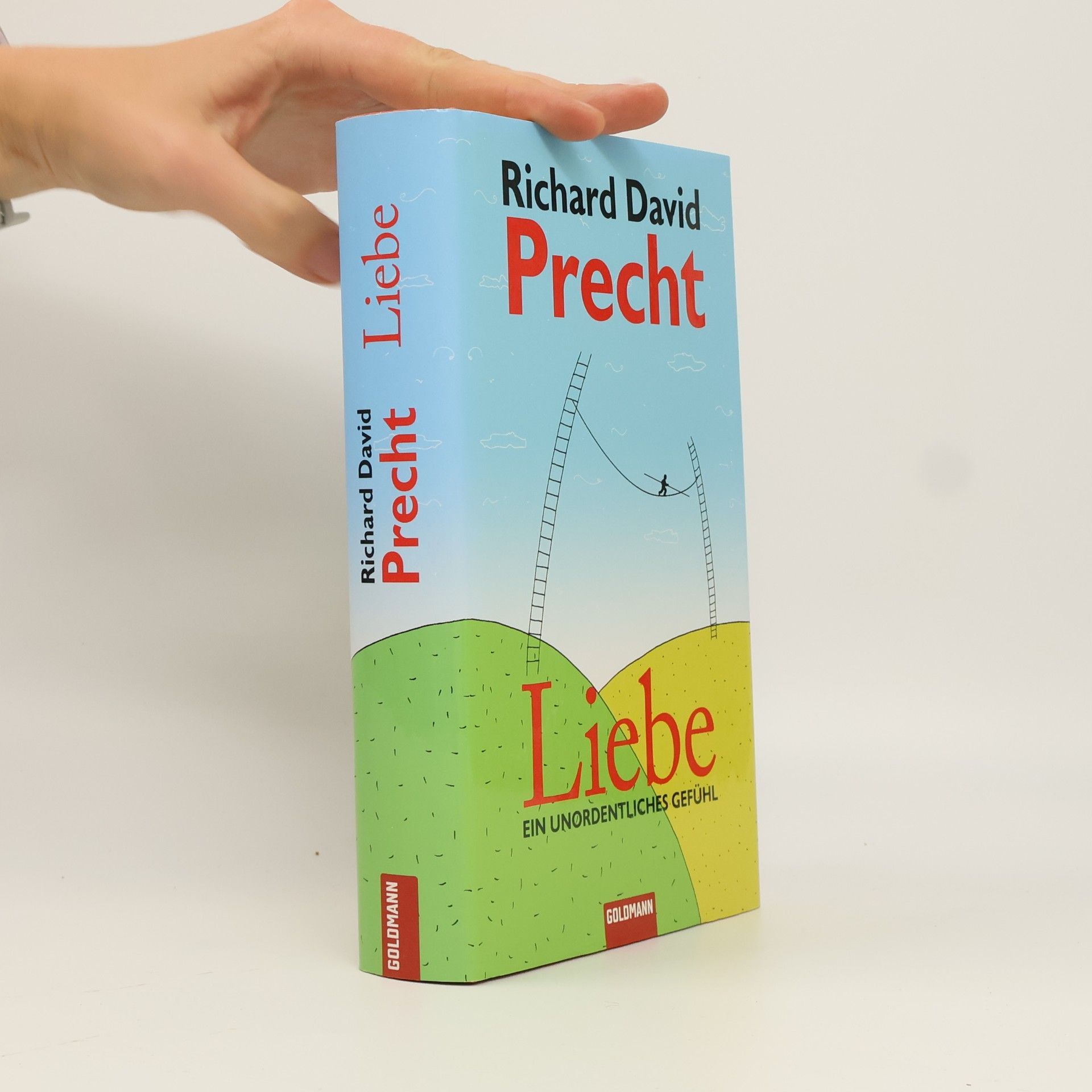 Richard David Precht Liebe ein Unordentliches Gefühl