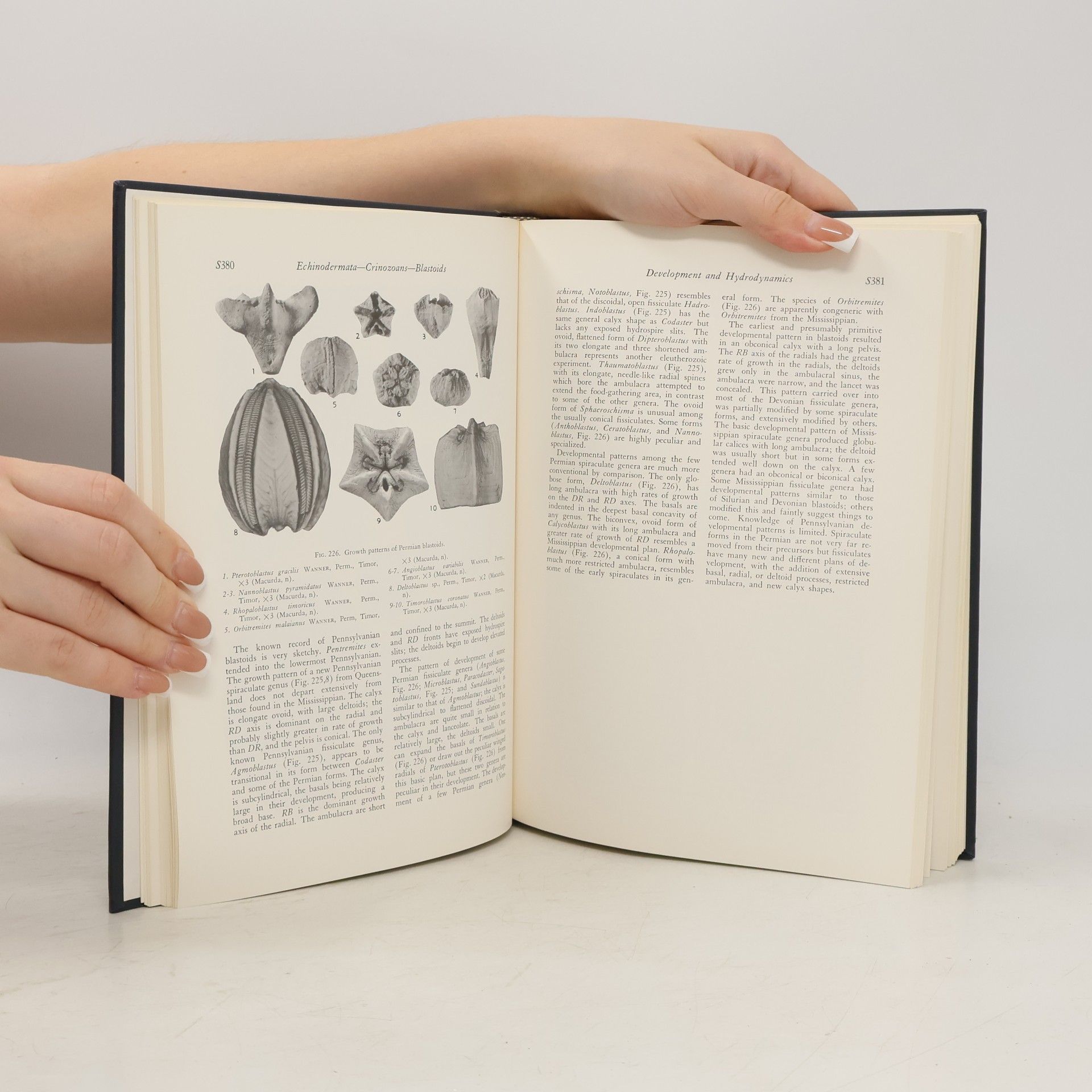 Raymond Cecil Moore Treatise On Invertebrate Paleontology, Part S