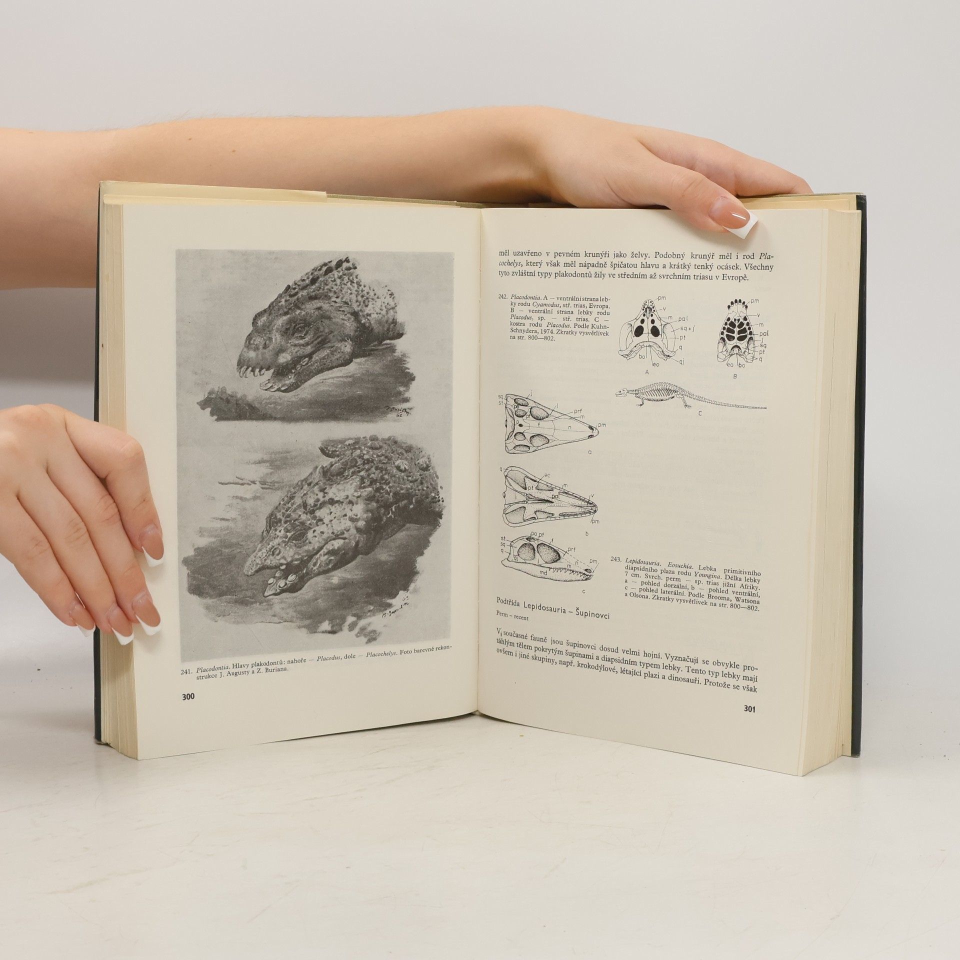 Zdeněk V. Špinar Paleontologie obratlovců