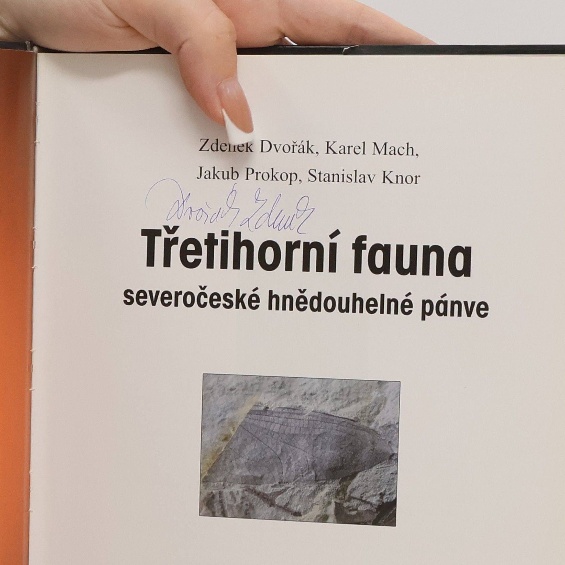 Jakub Prokop Třetihorní fauna severočeské hnědouhelné pánve