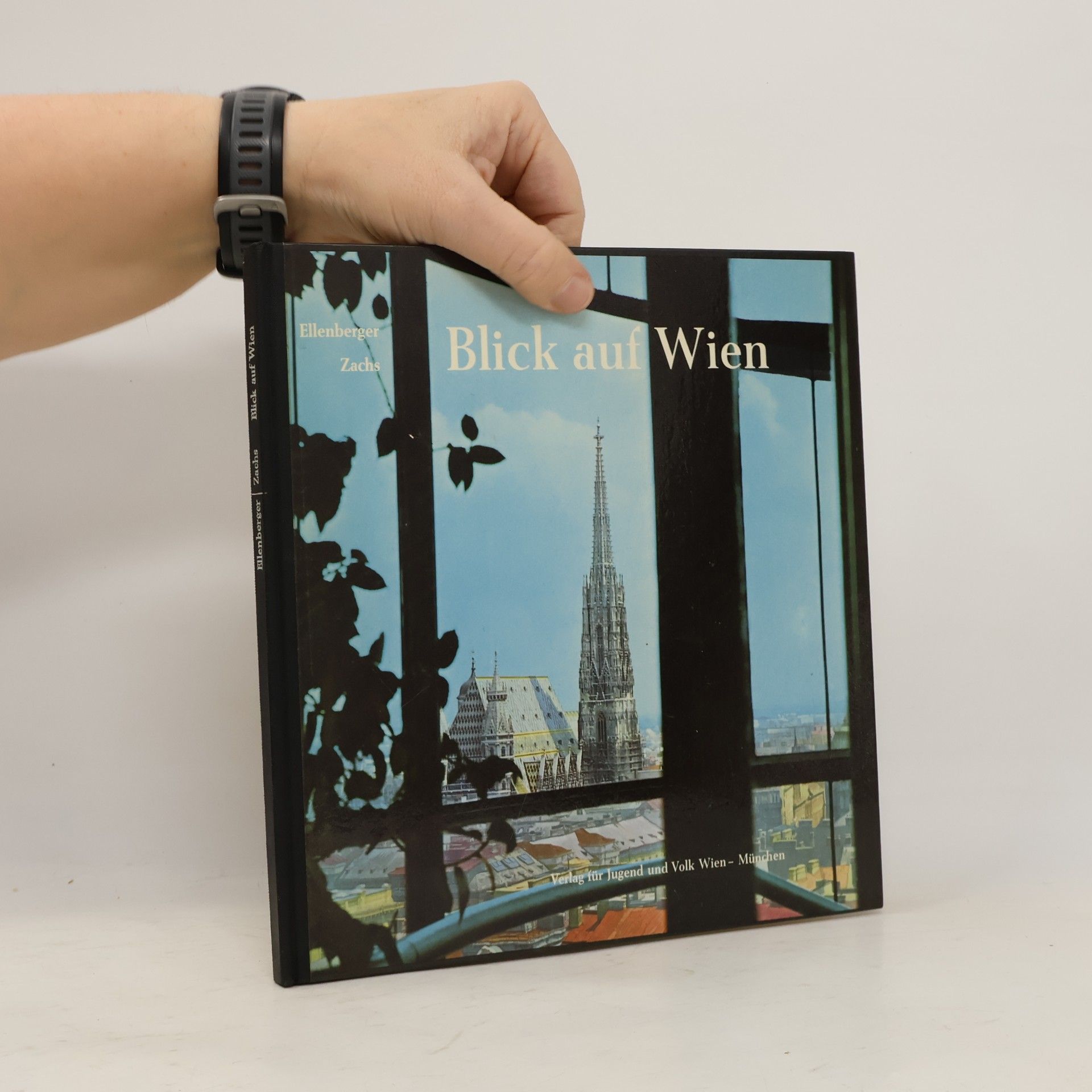 Ellenberger Zachs Blick auf Wien