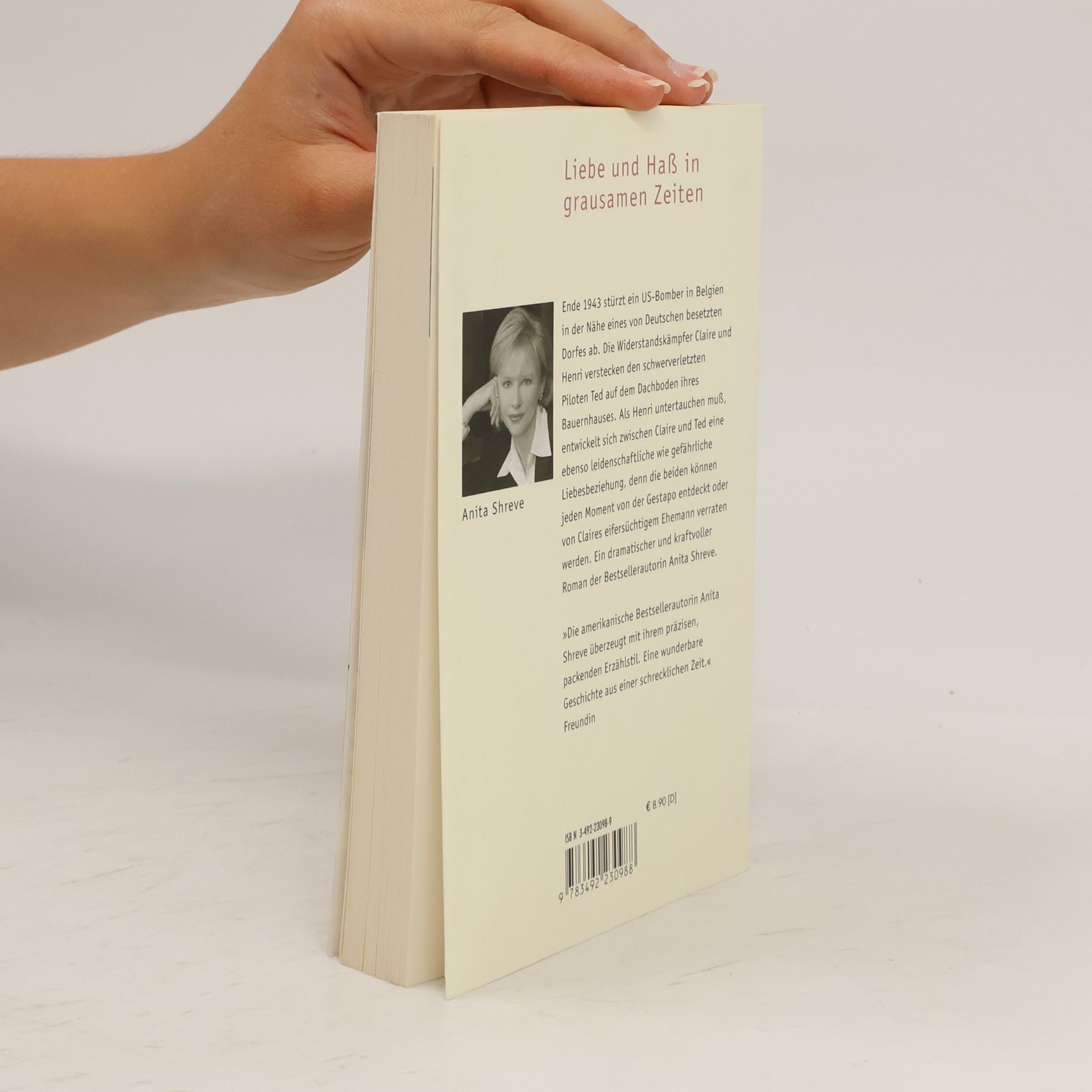 Anita Shreve Im Herzen des Winters