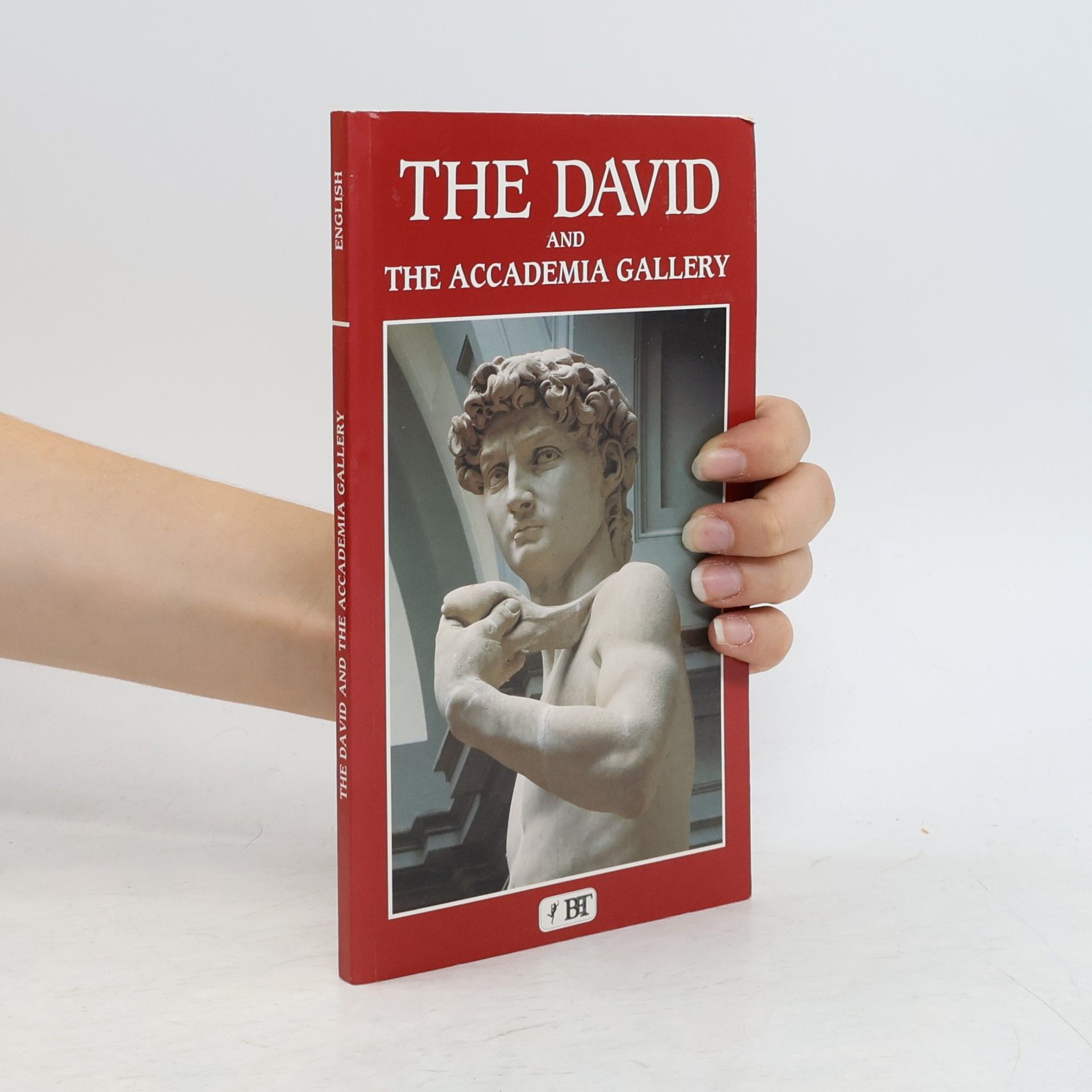 The David and the Accademia Gallery