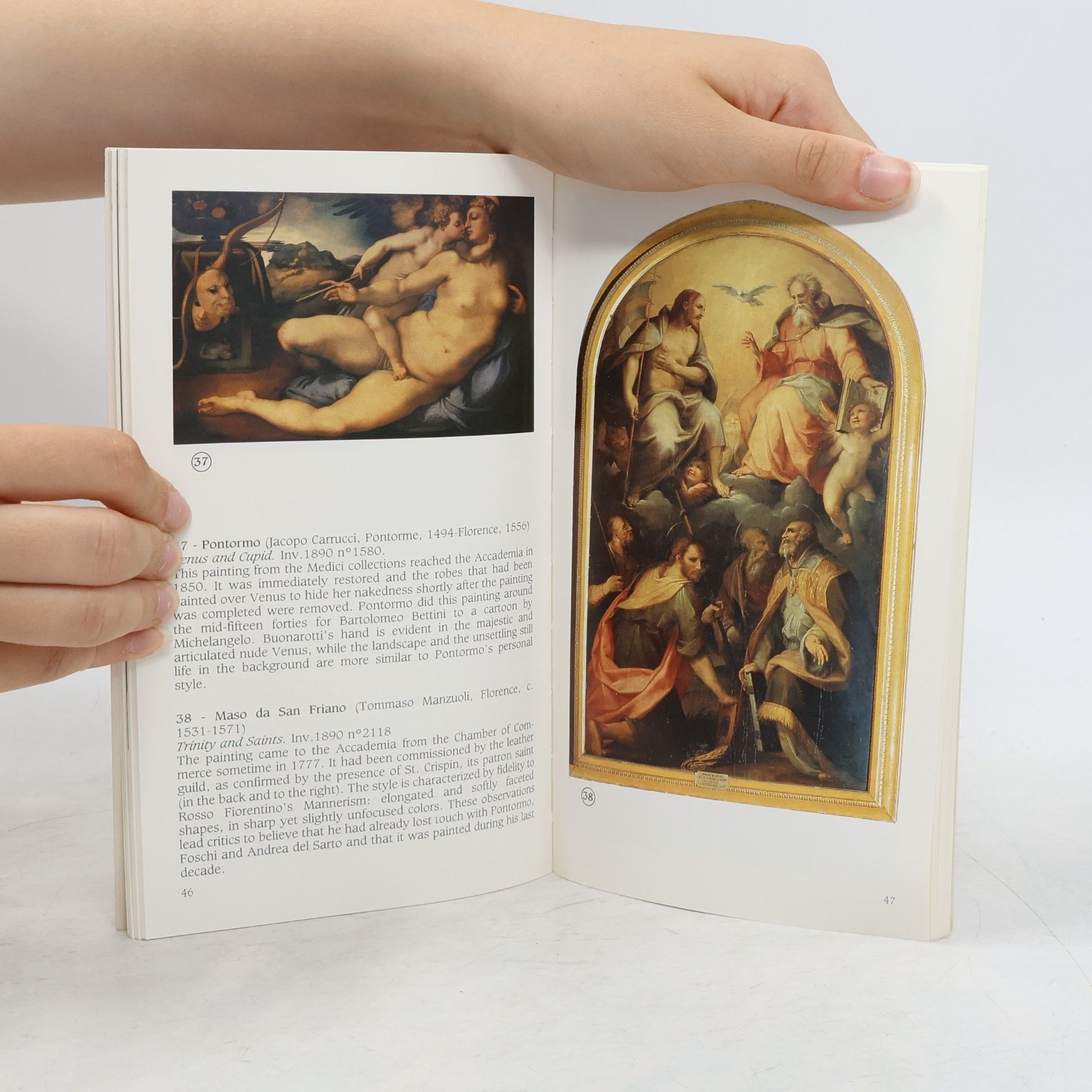 Franca Falletti The David and the Accademia Gallery