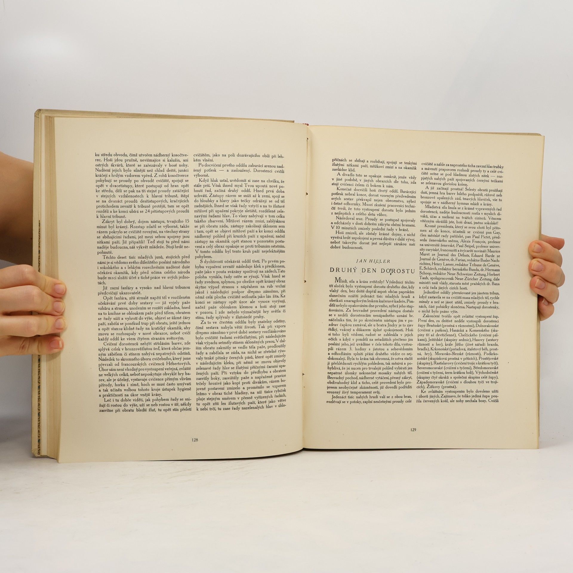 Jan Hiller Památník VII. sletu všesokolského v Praze 1920
