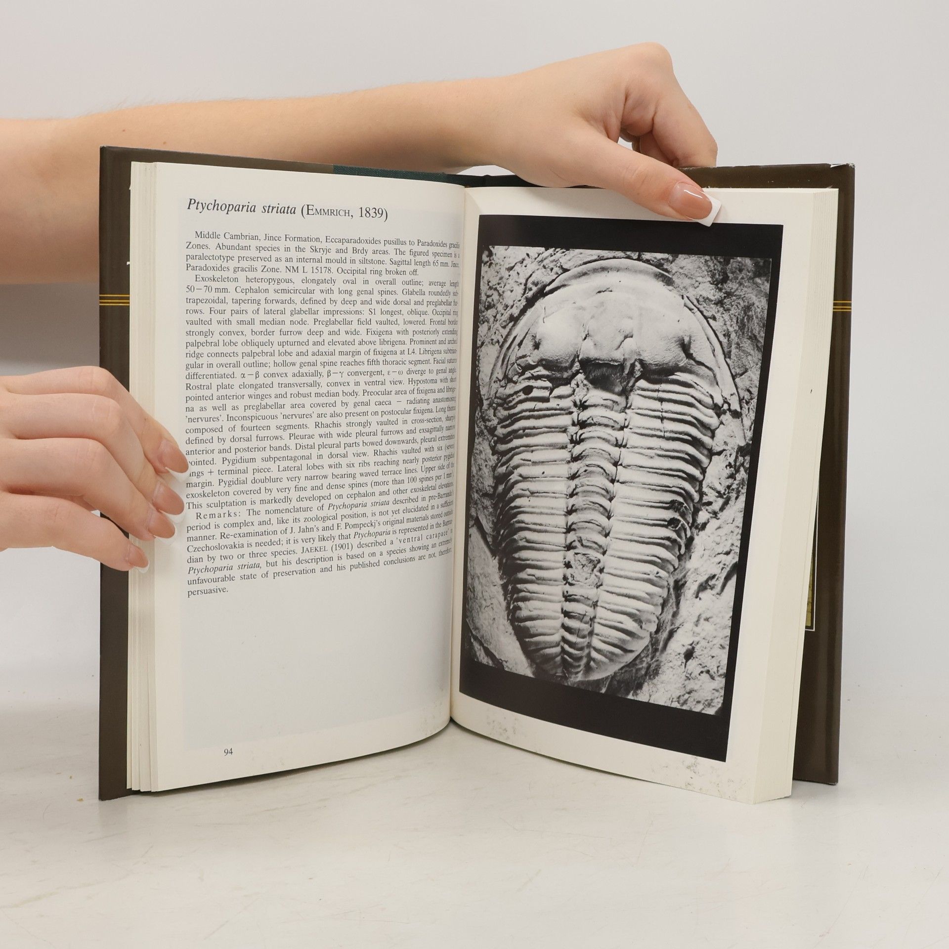Milan Šnajdr Bohemian trilobites