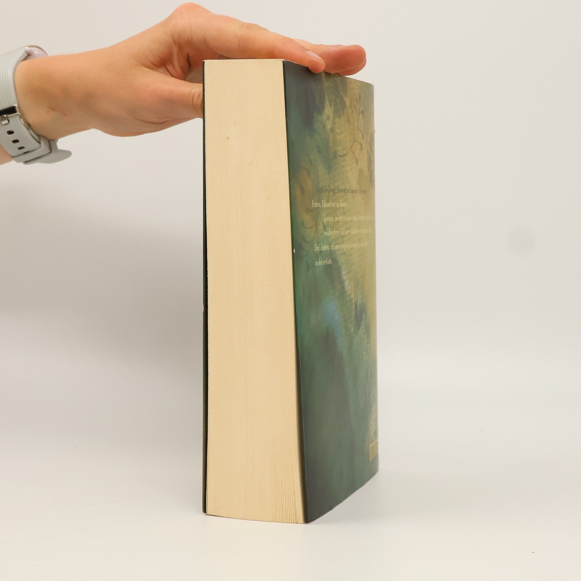 Stephenie Meyer Biss zum Morgengrauen