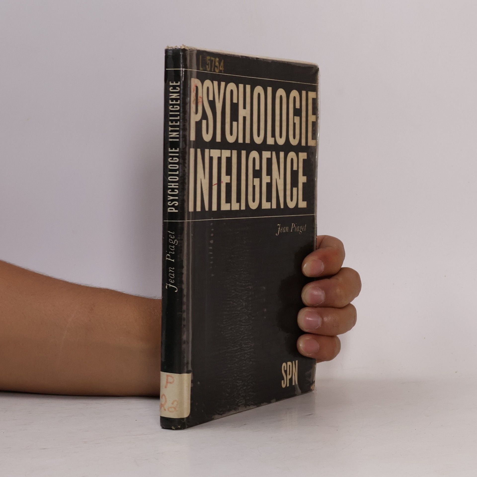 Jean Piaget Psychologie inteligence