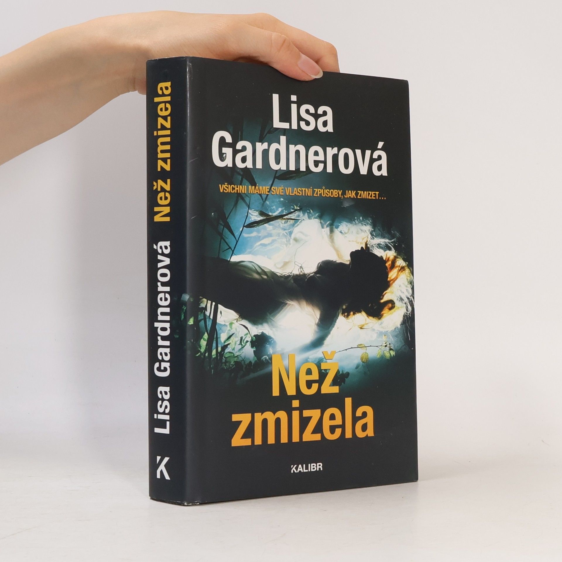 Irena Steinerová Než zmizela