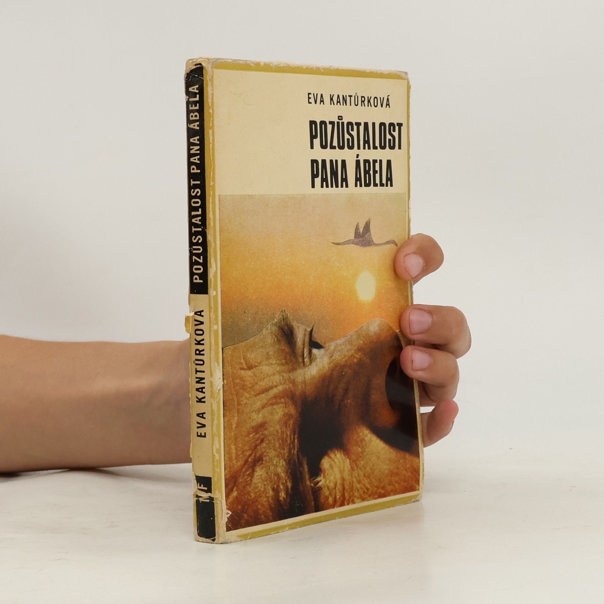 Eva Kantůrková Pozůstalost pana Ábela