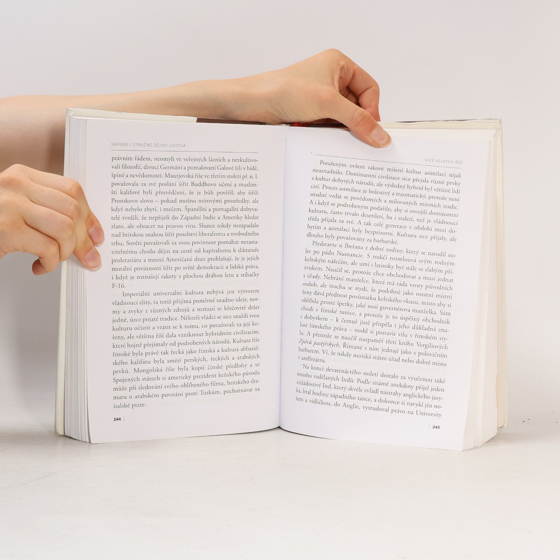 Yuval Noah Harari Sapiens : stručné dějiny lidstva