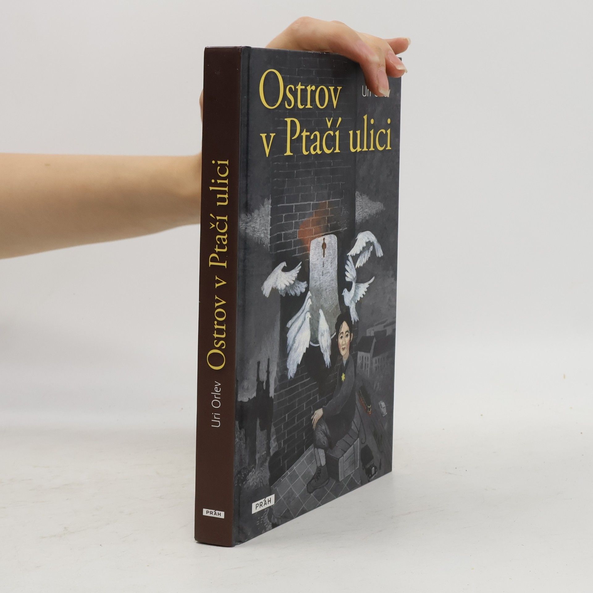 Uri Orlev Ostrov v Ptačí ulici
