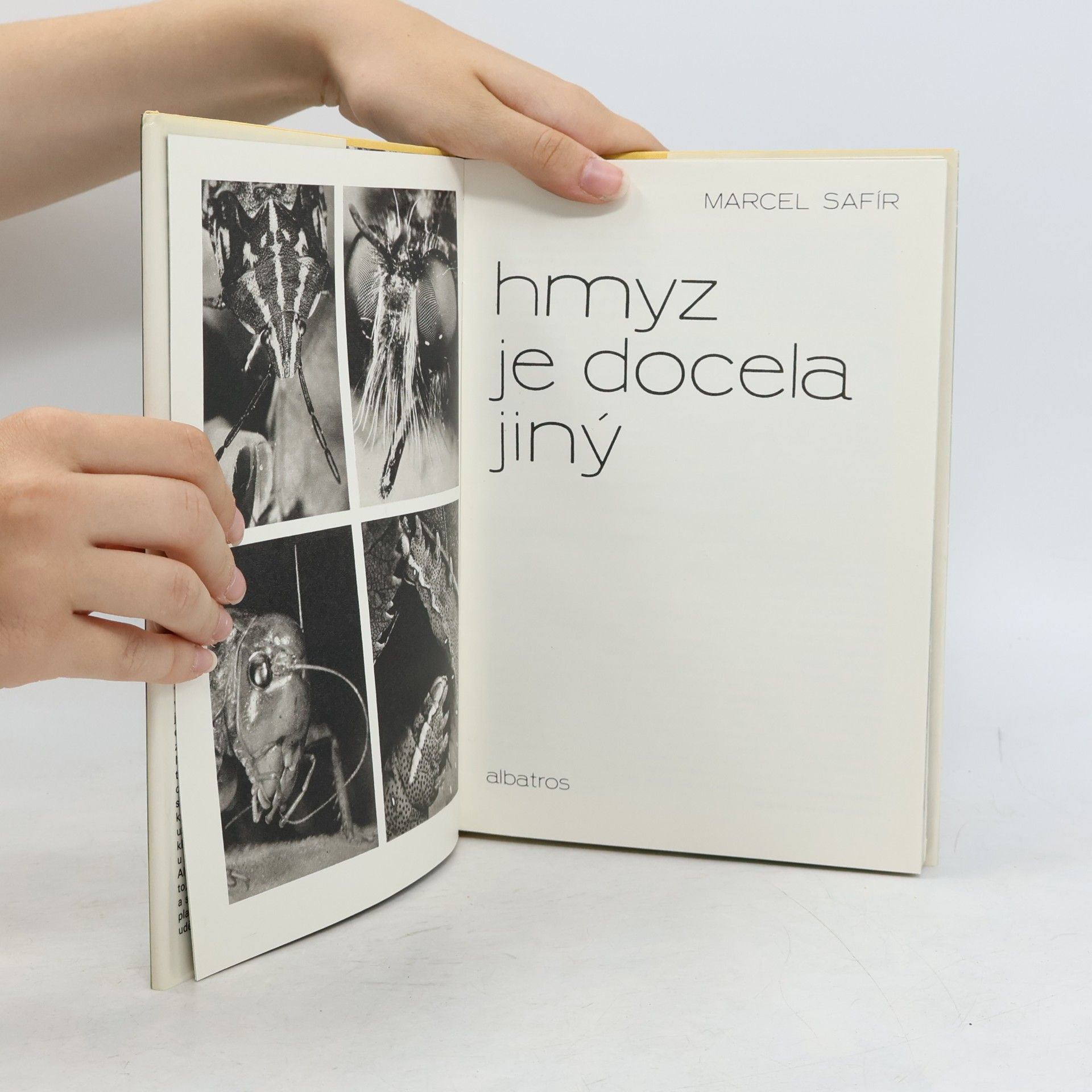 Marcel Safír Hmyz je docela jiný